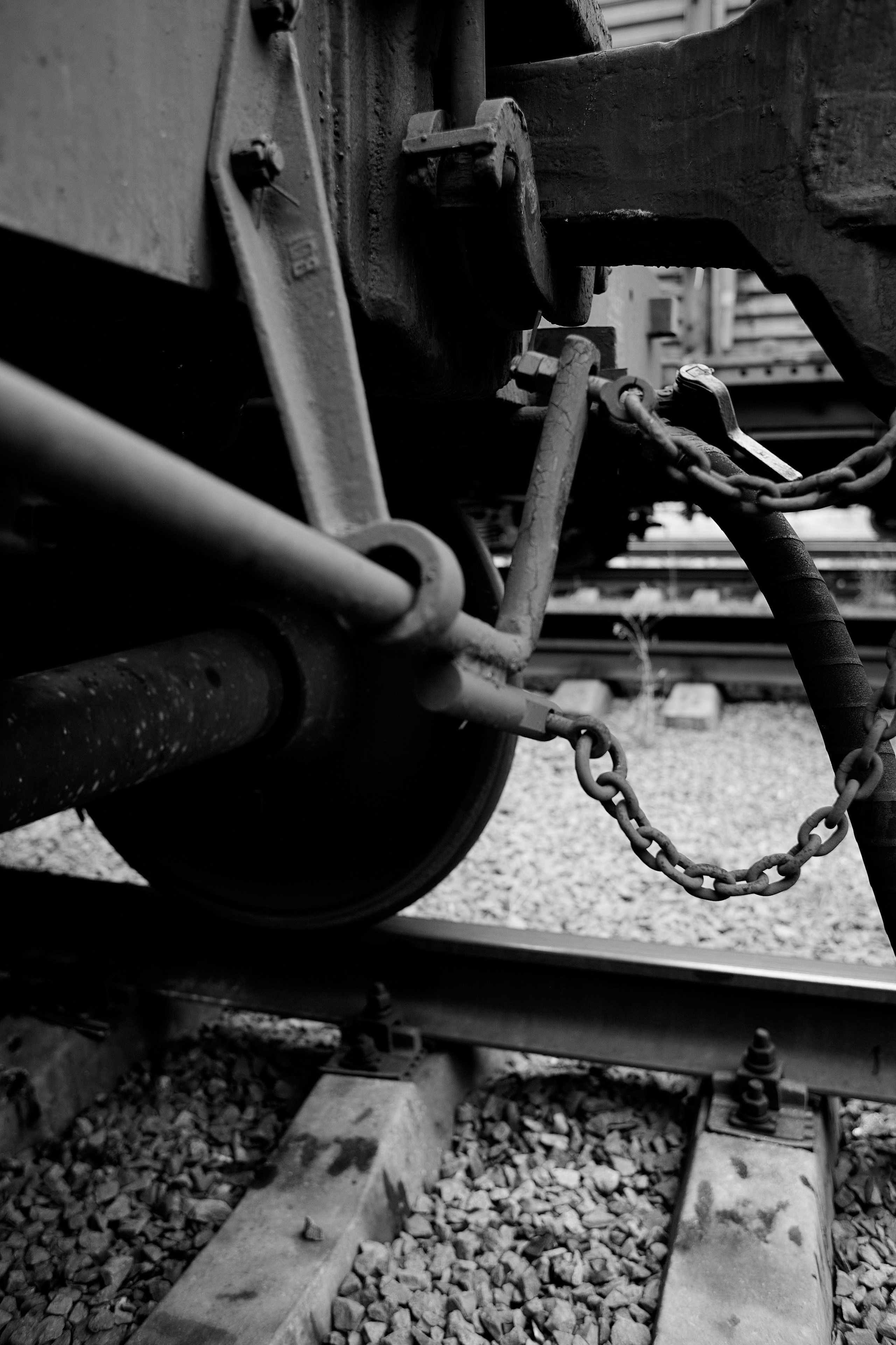 Транспортная компания «ЕТО». Имидж-стилист, преображения в Барнауле Ротфус Наталья