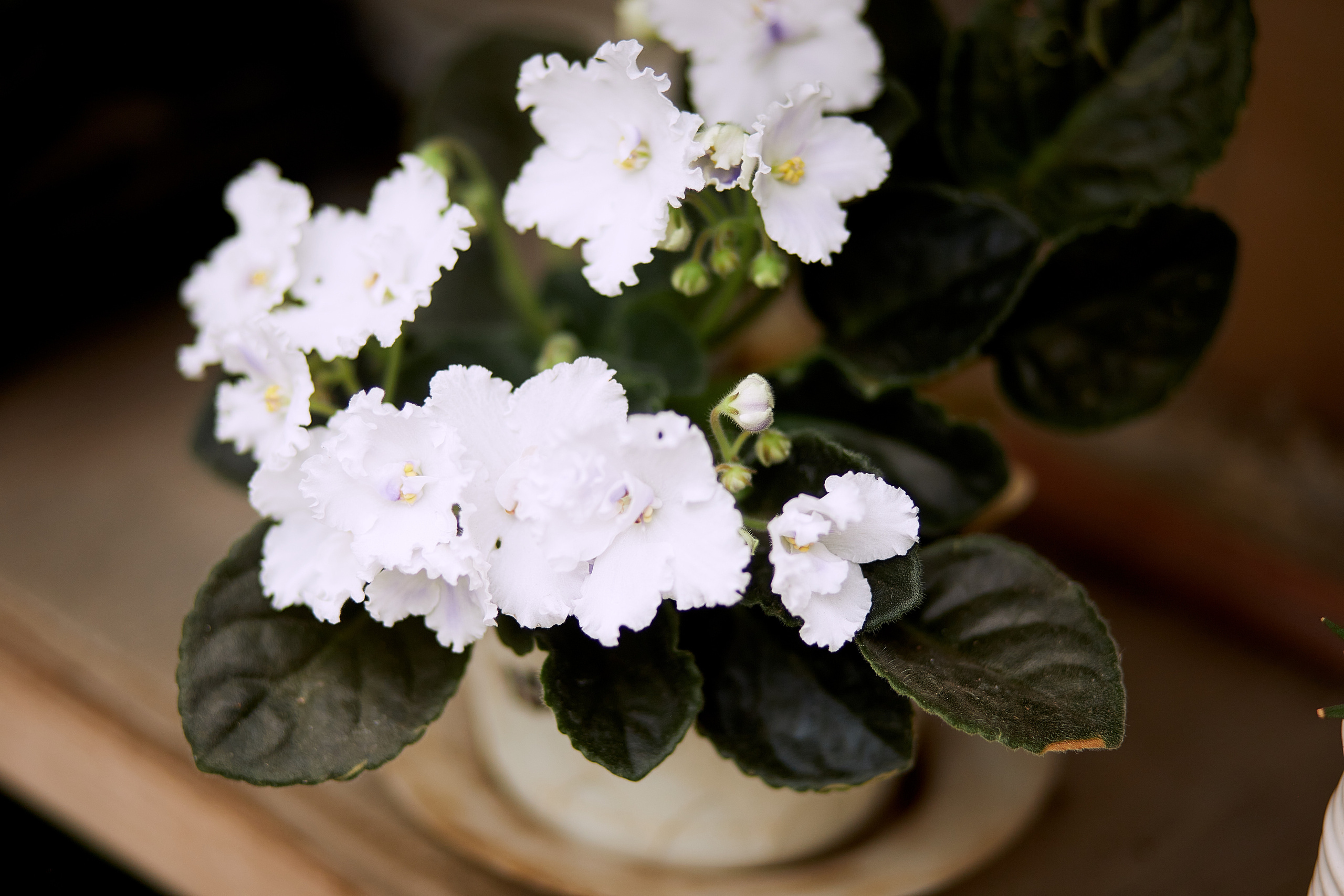 Контент для кинезиолога. Имидж-стилист, преображения в Барнауле Ротфус Наталья