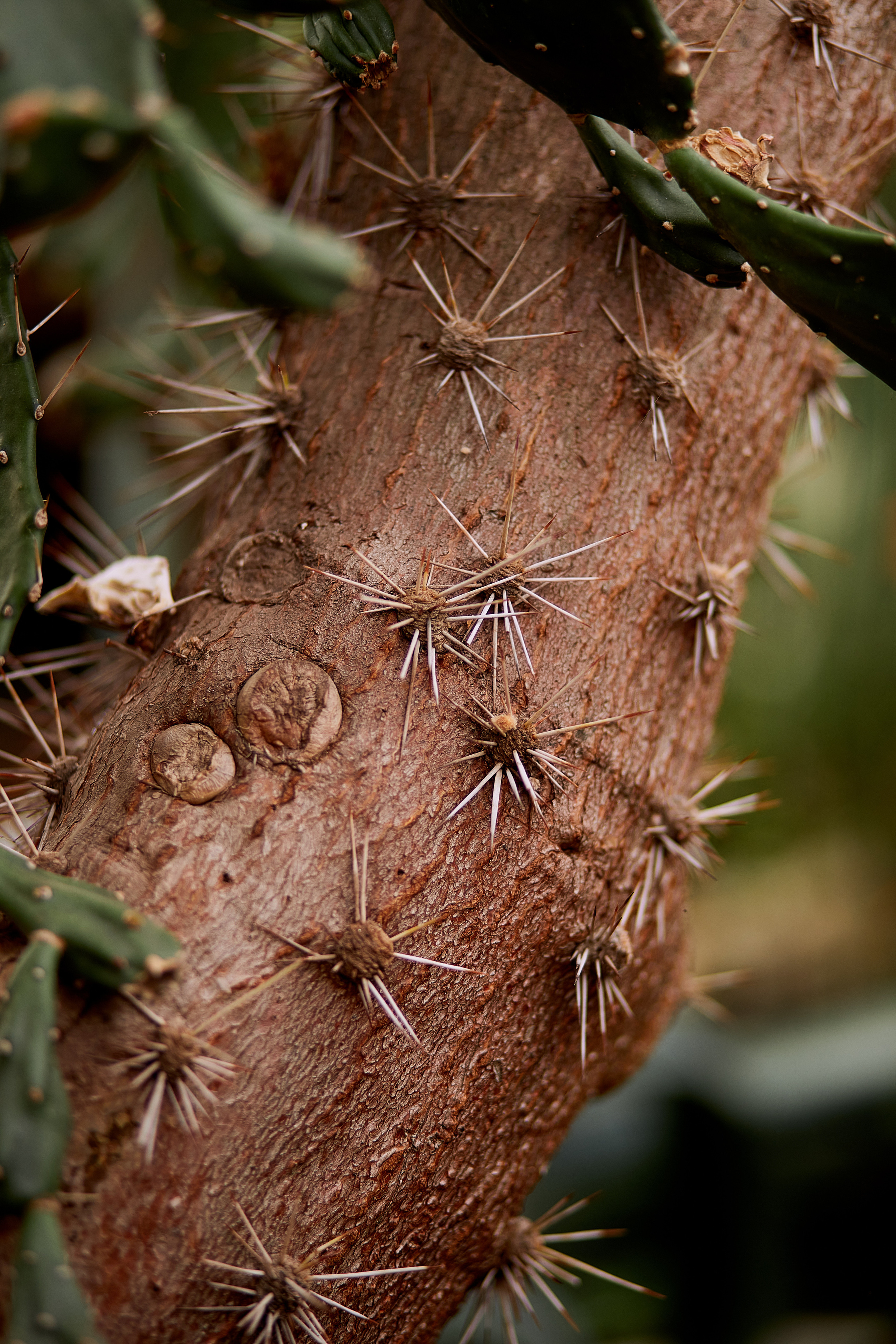 Контент для кинезиолога. Имидж-стилист, преображения в Барнауле Ротфус Наталья