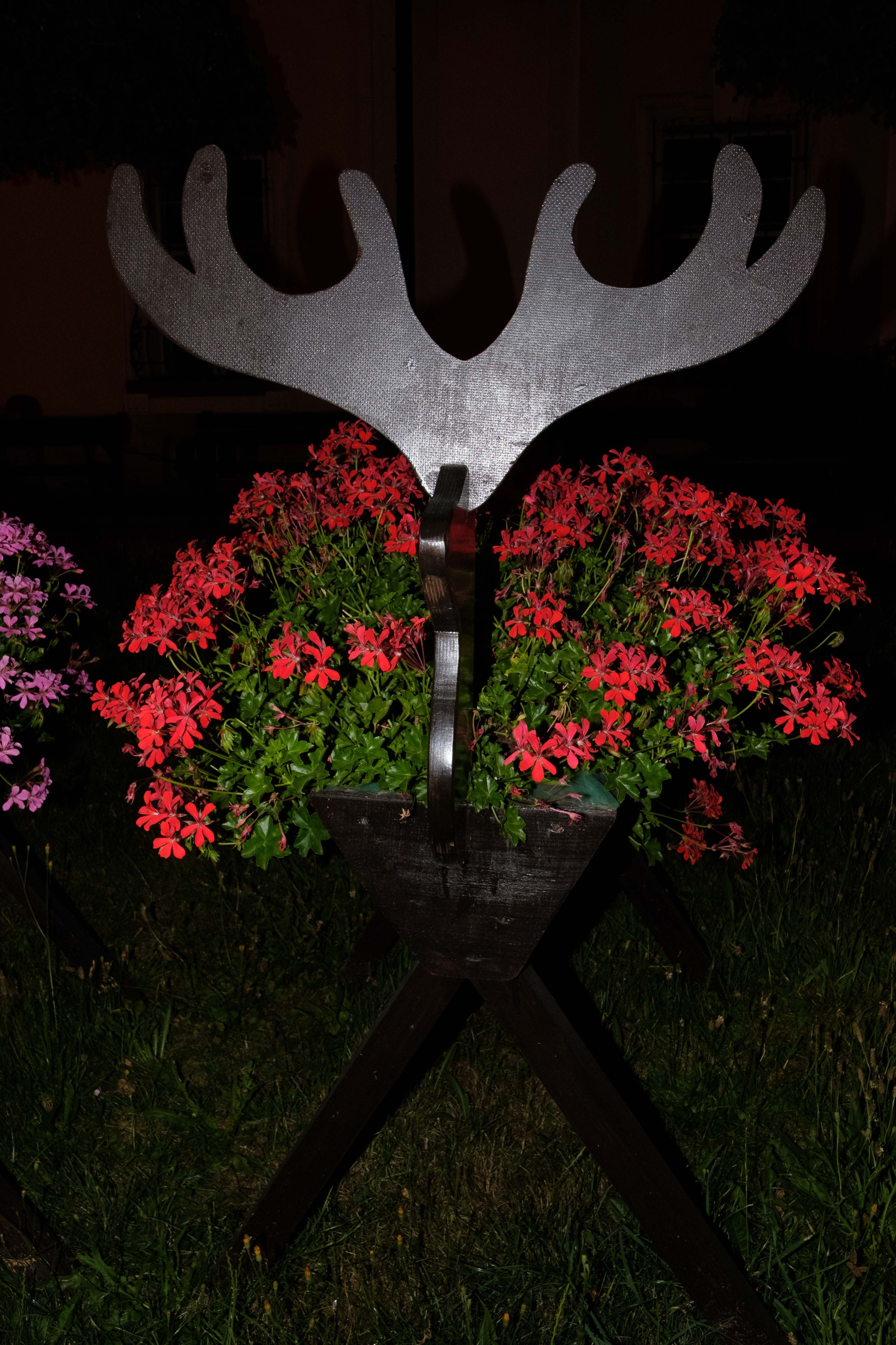 Simple. Photos. Photographer, Documentary and Art