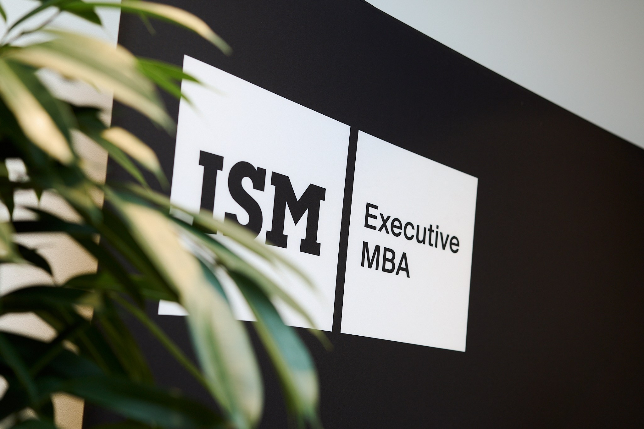 From studies to company strategy: ISM Executive MBA alumni experiences. Photographer in Vilnius
