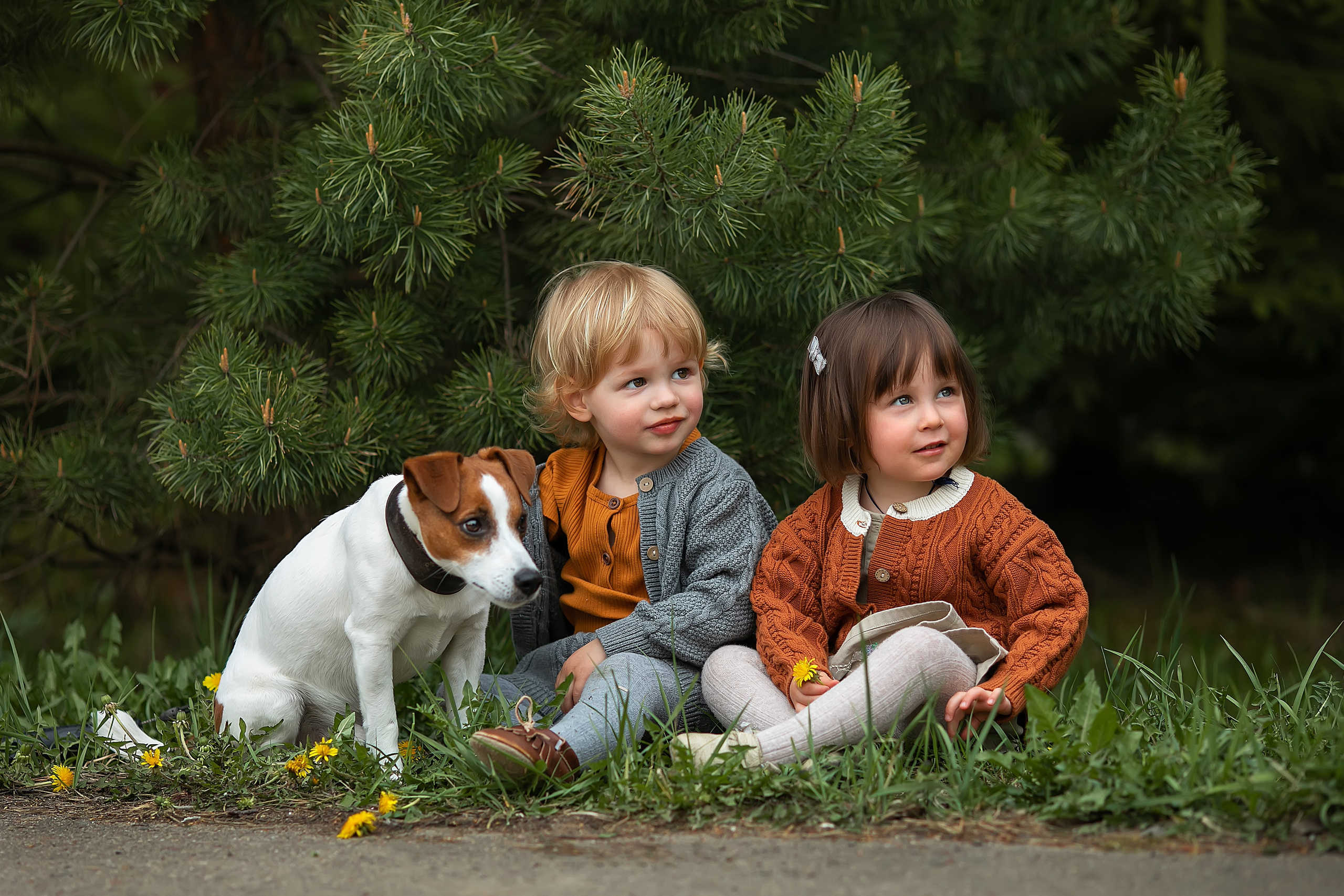 Лето. Главная