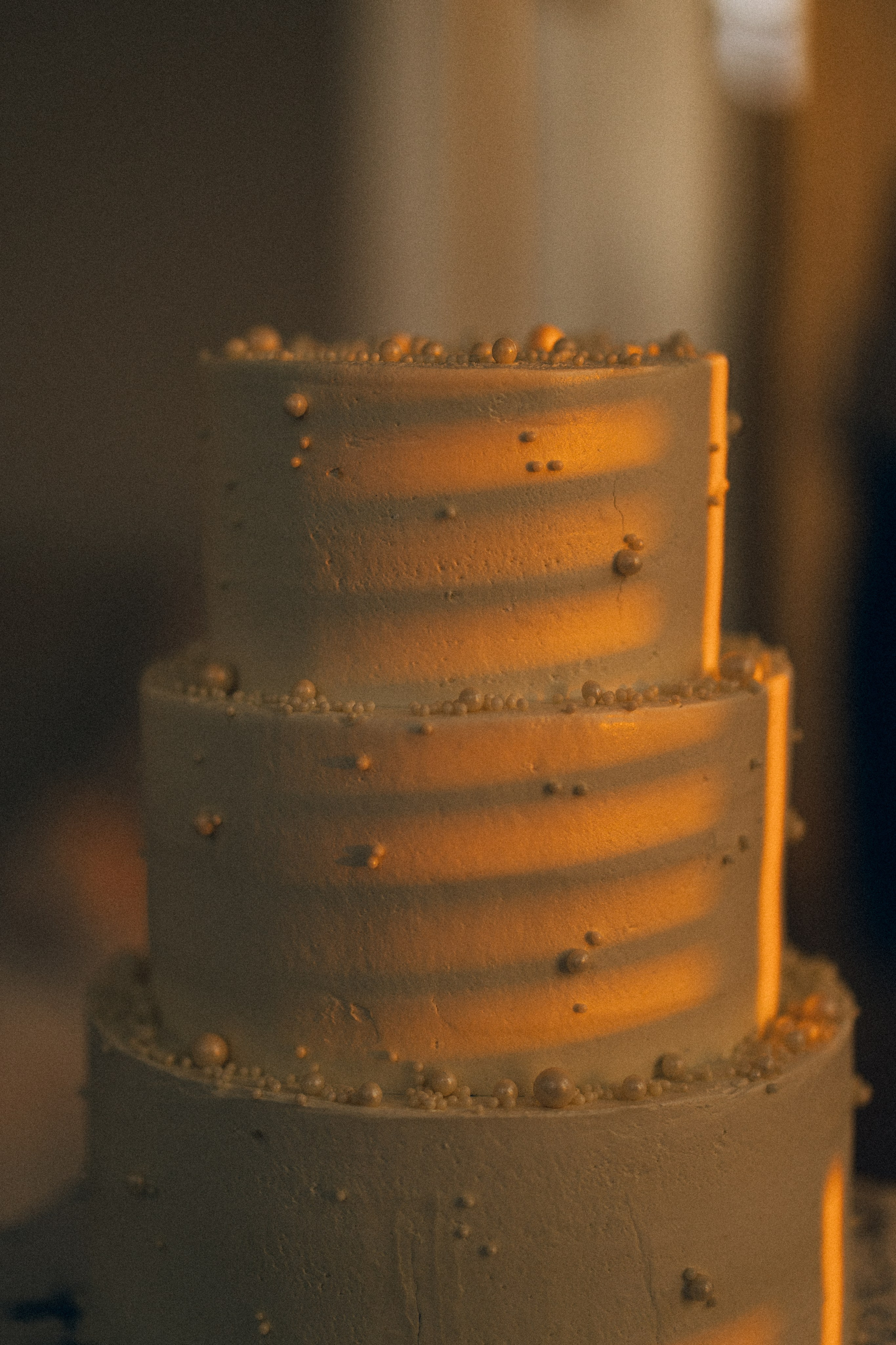 Dandelions. Daria Chigintseva Photographer