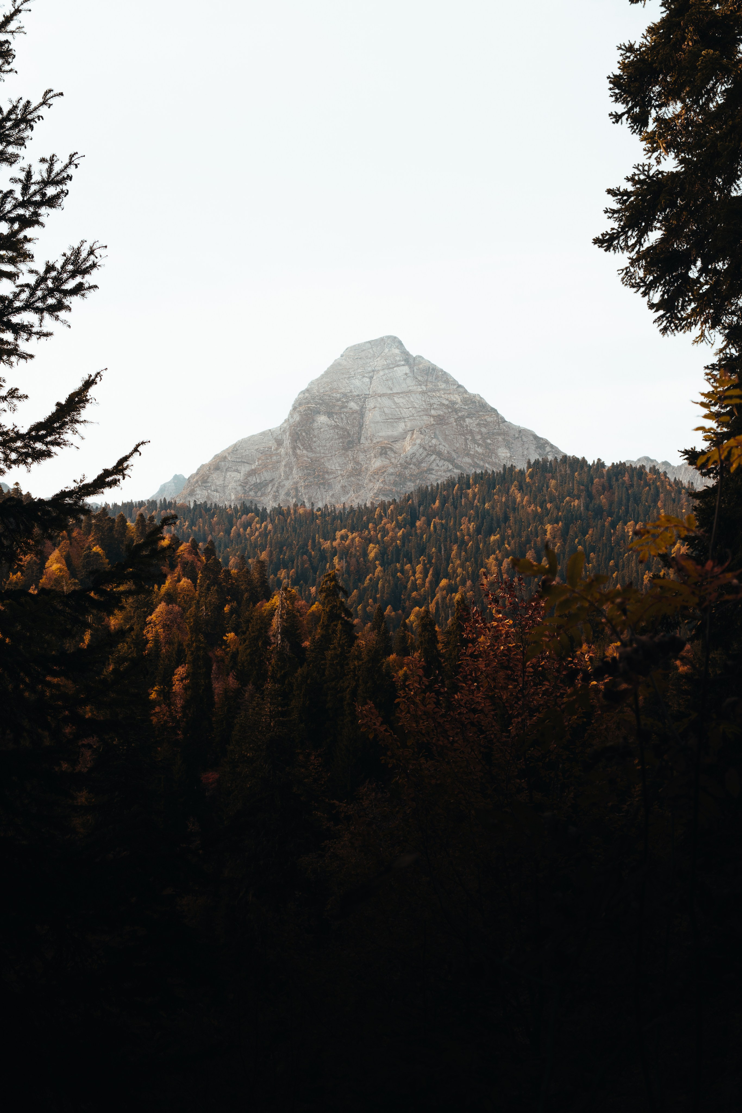 КАРДЫВАЧ. Фотограф на Кавказе