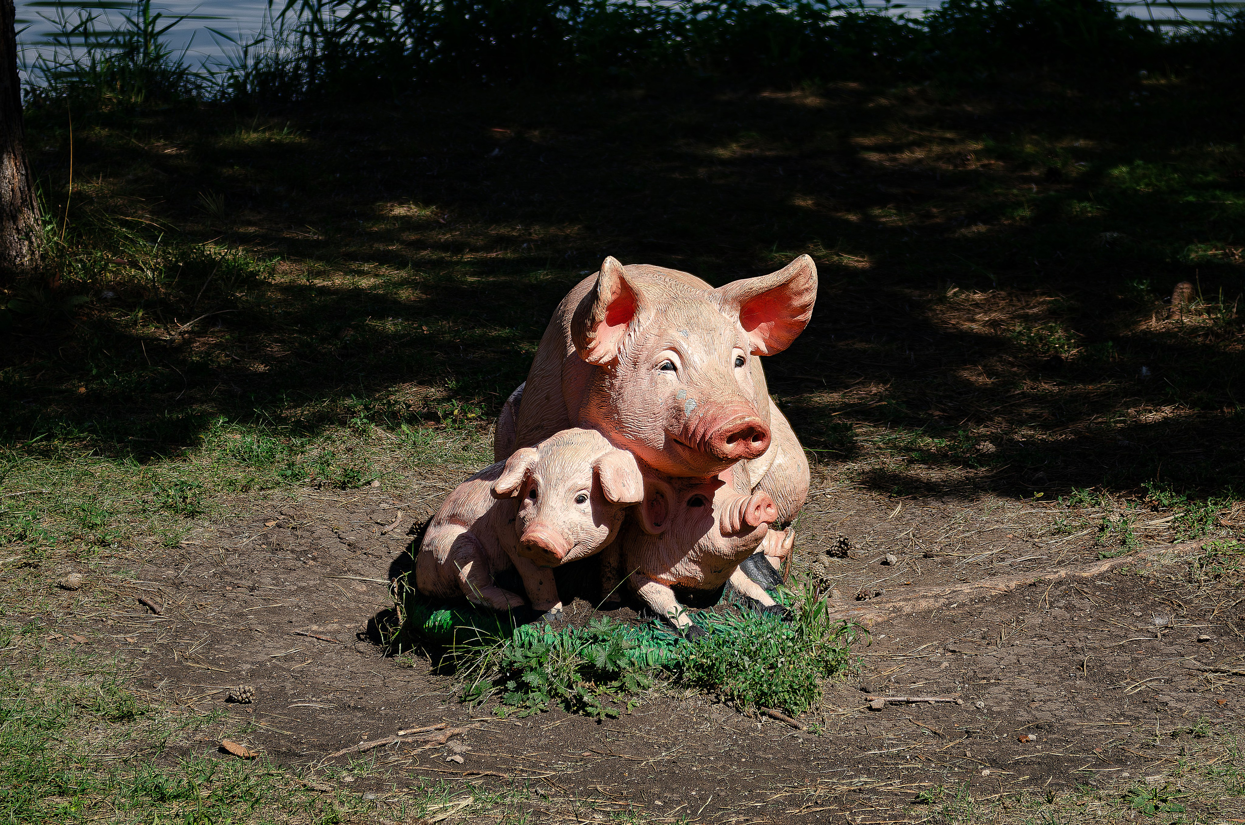 Architechture of Orenburg. Sreda fotoArt