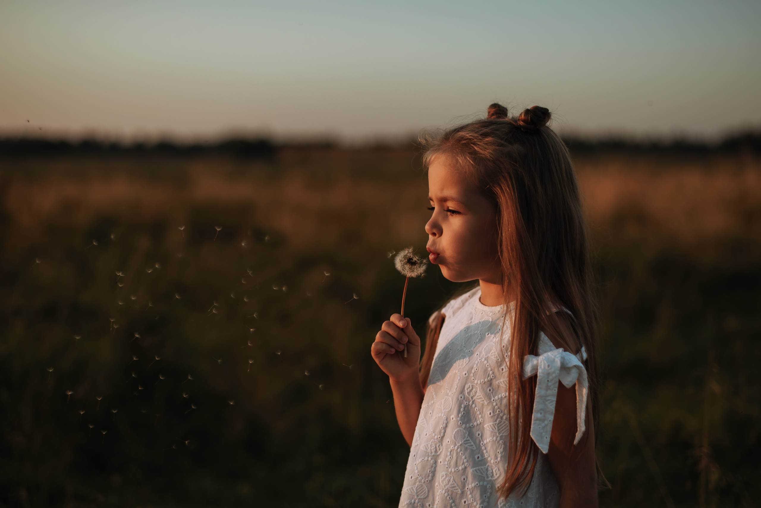 Семейные прогулки. Фотограф Мария Орлова (Мирный, Плесецк, Каргополь)