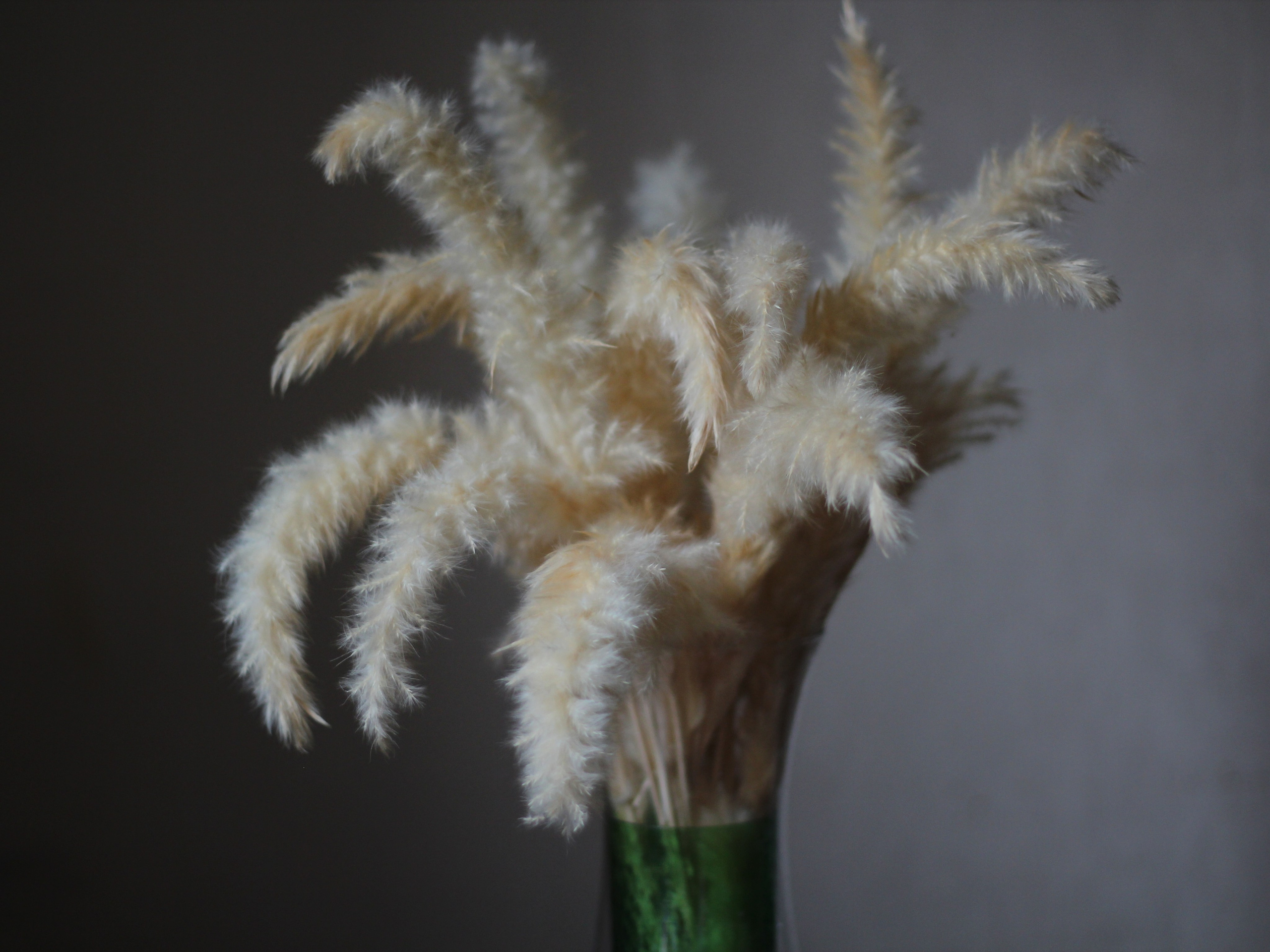 Предметная фотография. Семейный и детский фотограф в Москве Анастасия Крейнина