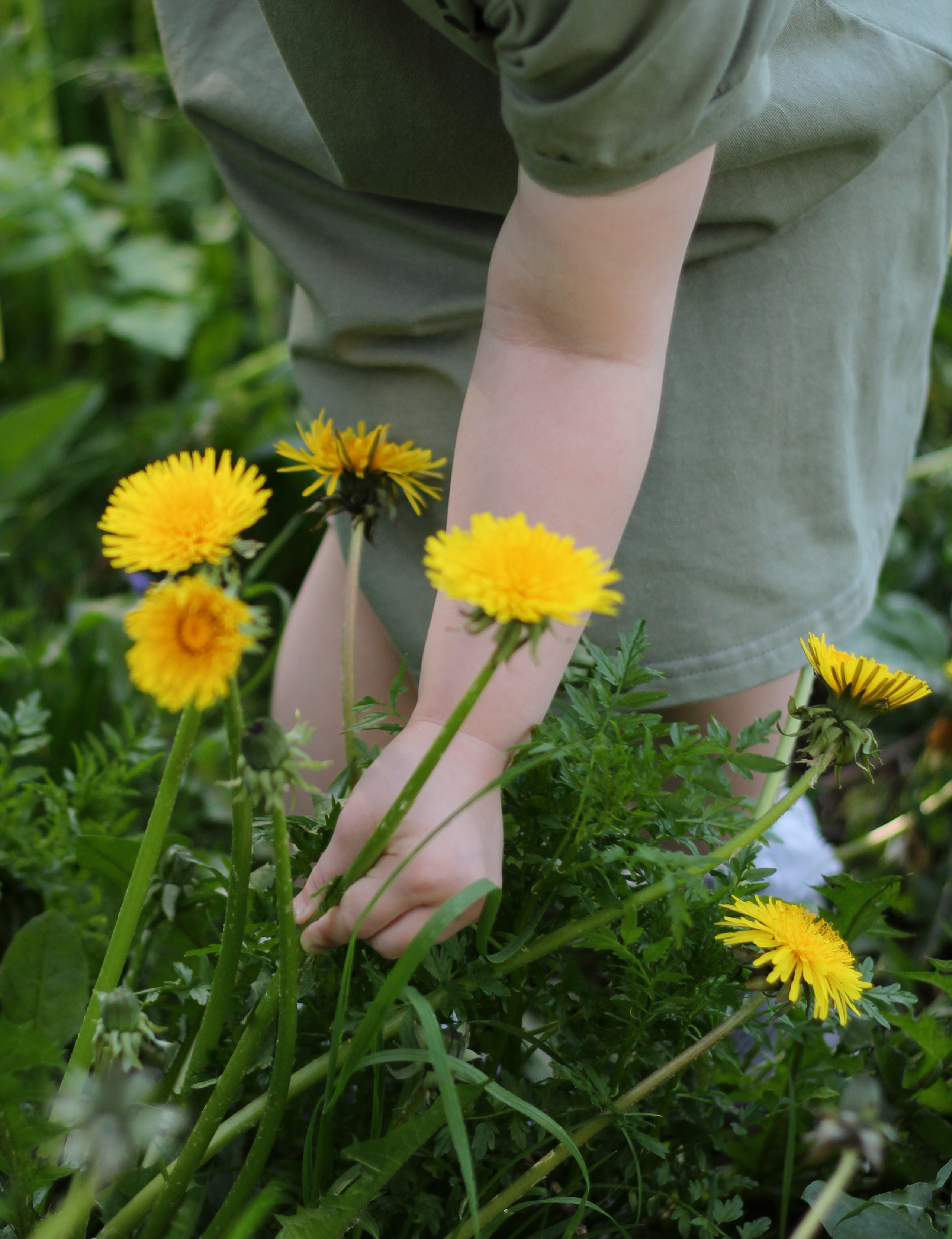 Детская фотография. Семейный и детский фотограф в Москве Анастасия Крейнина