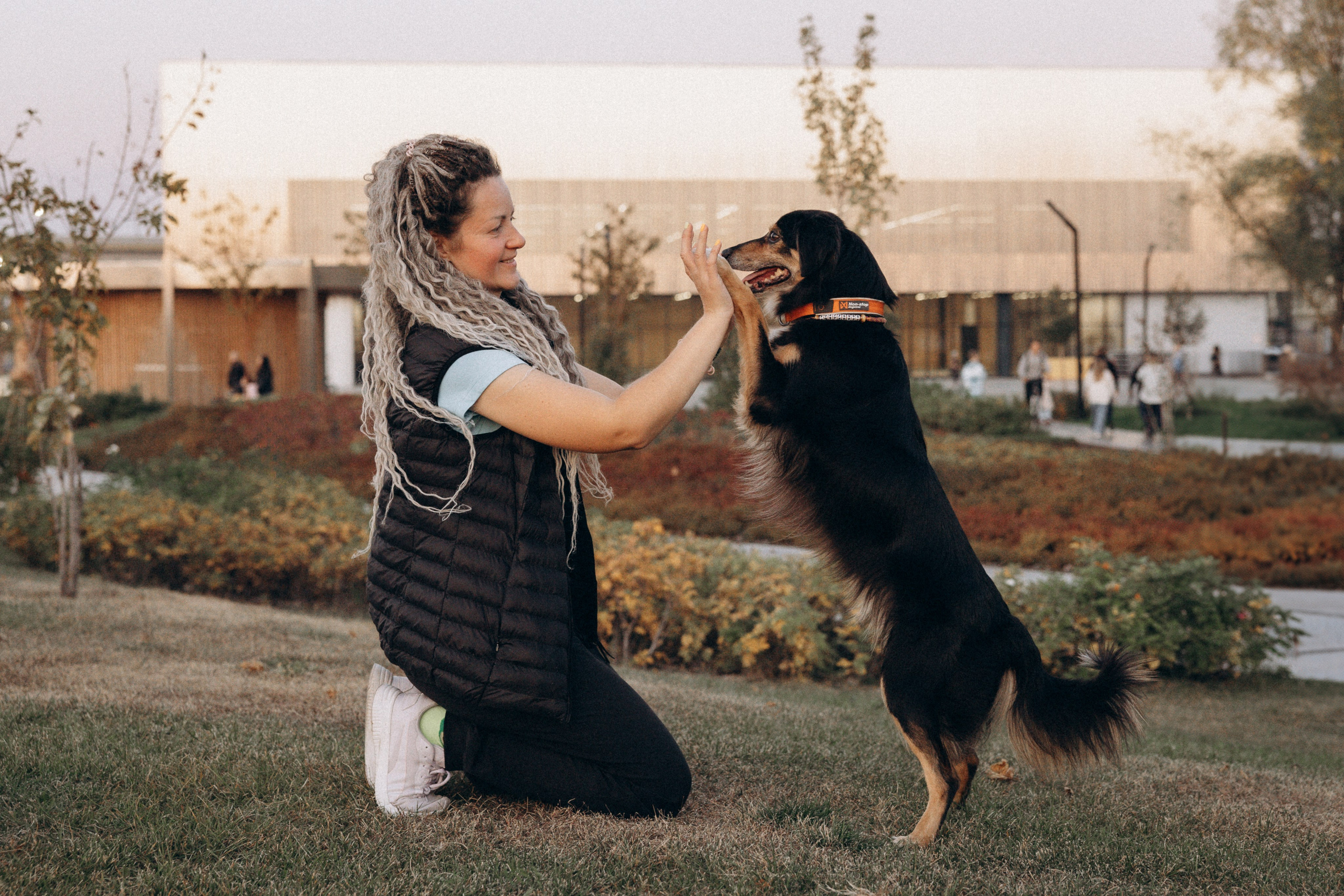 Алла и ее компания. Фотограф анималист в Казани Алина Сулейманова. Фотограф животных