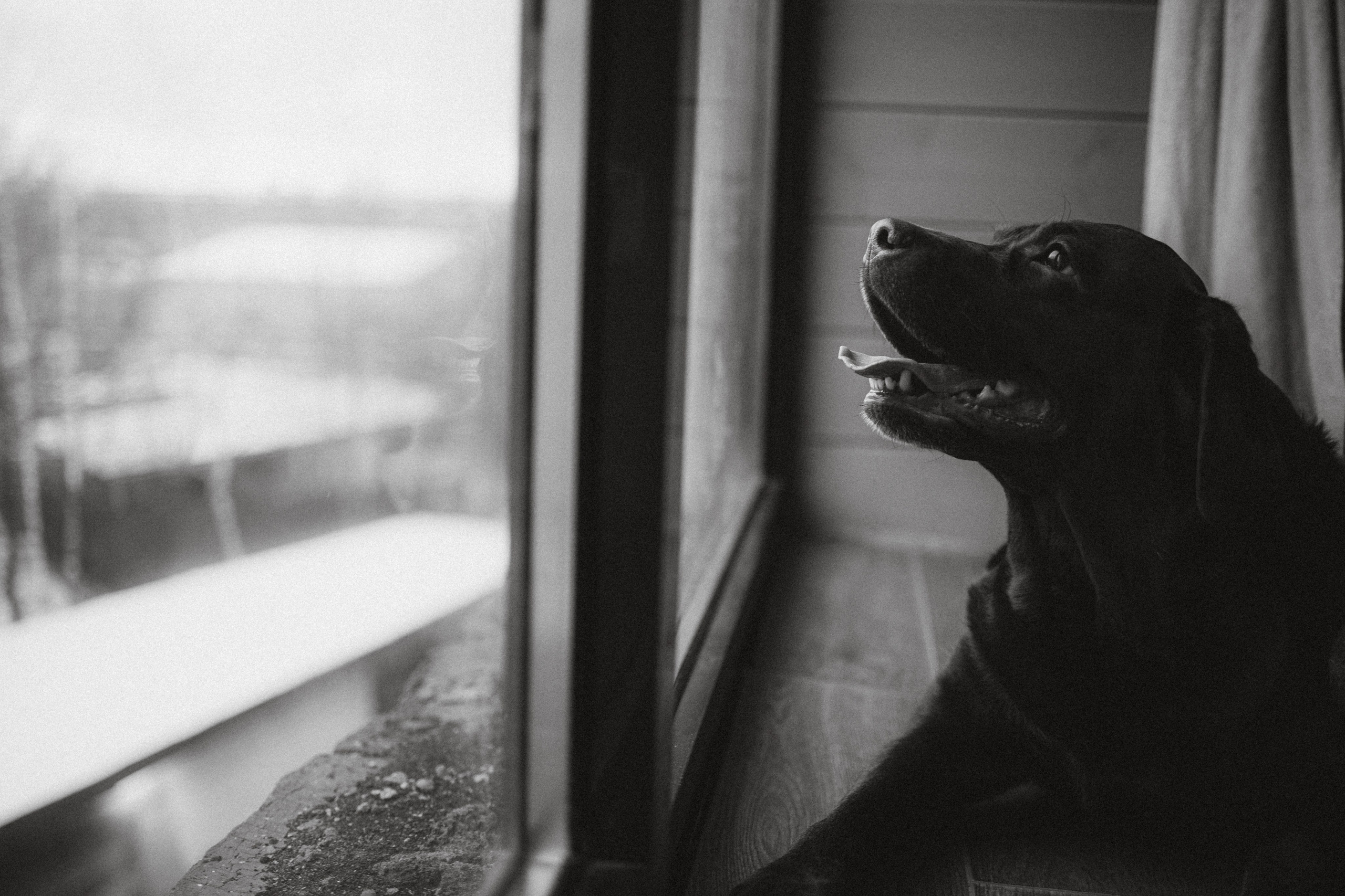 Ума, Берта и их семья