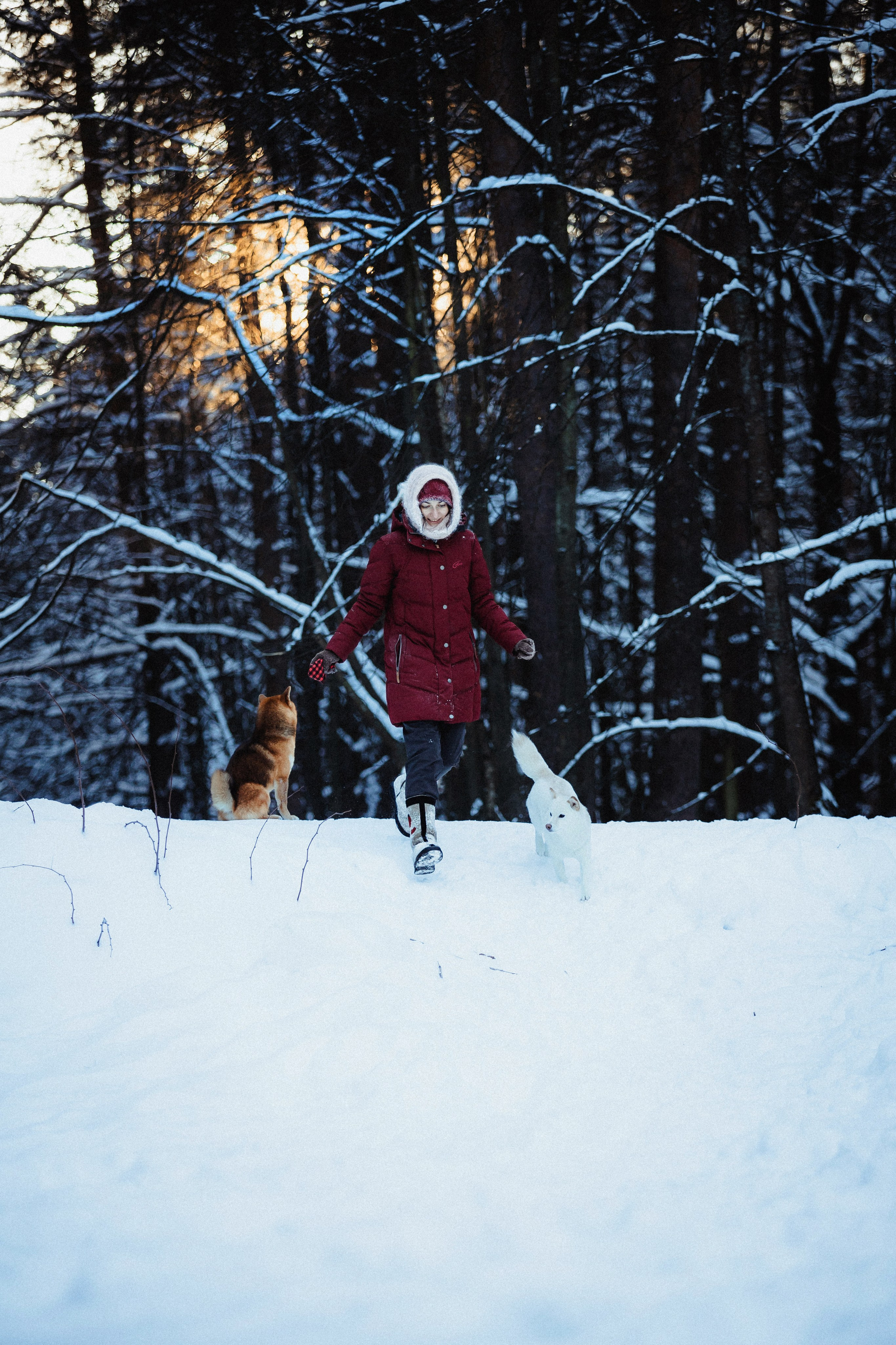 Шед, Цири и Ира