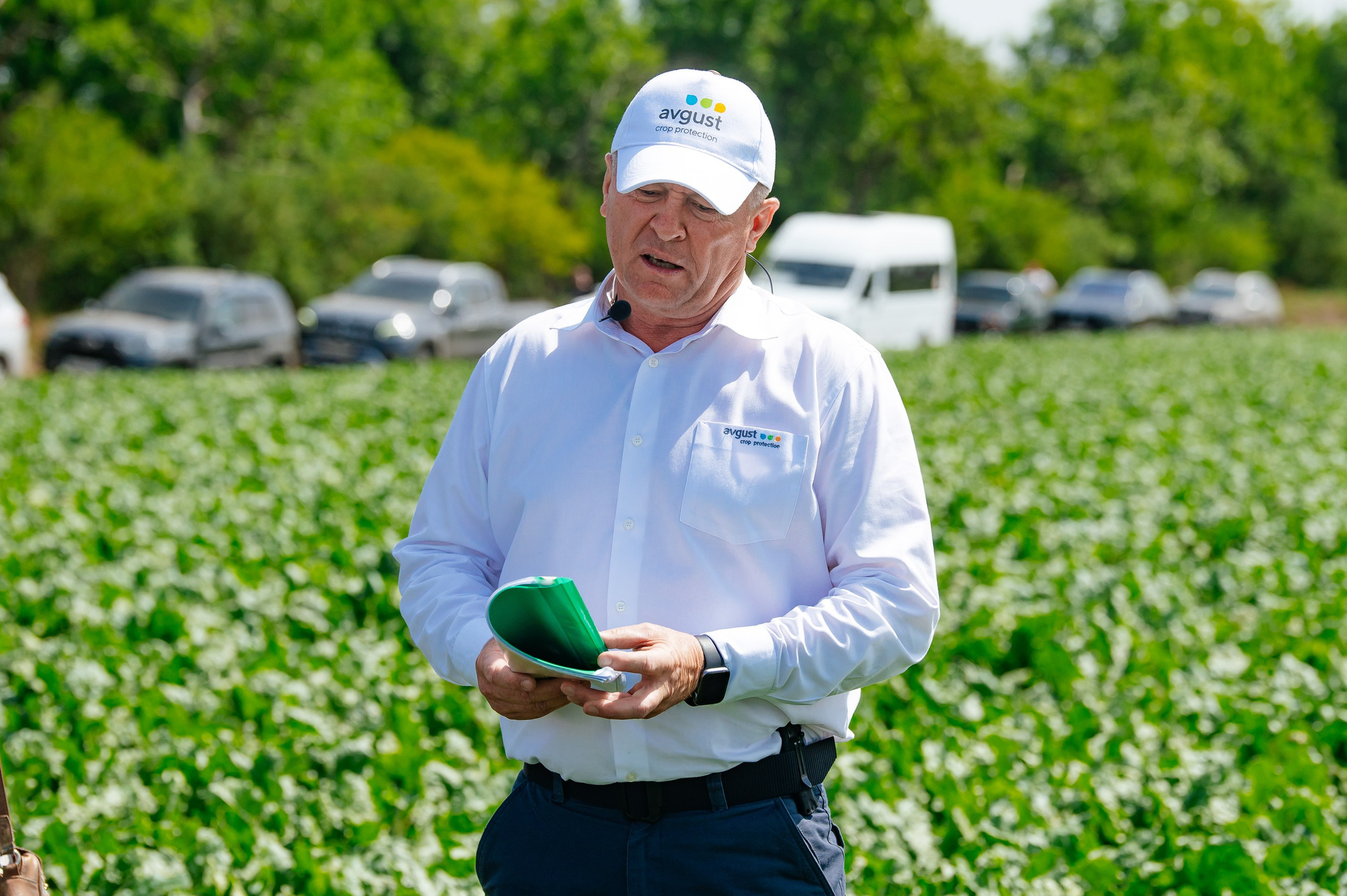 День поля. Главная