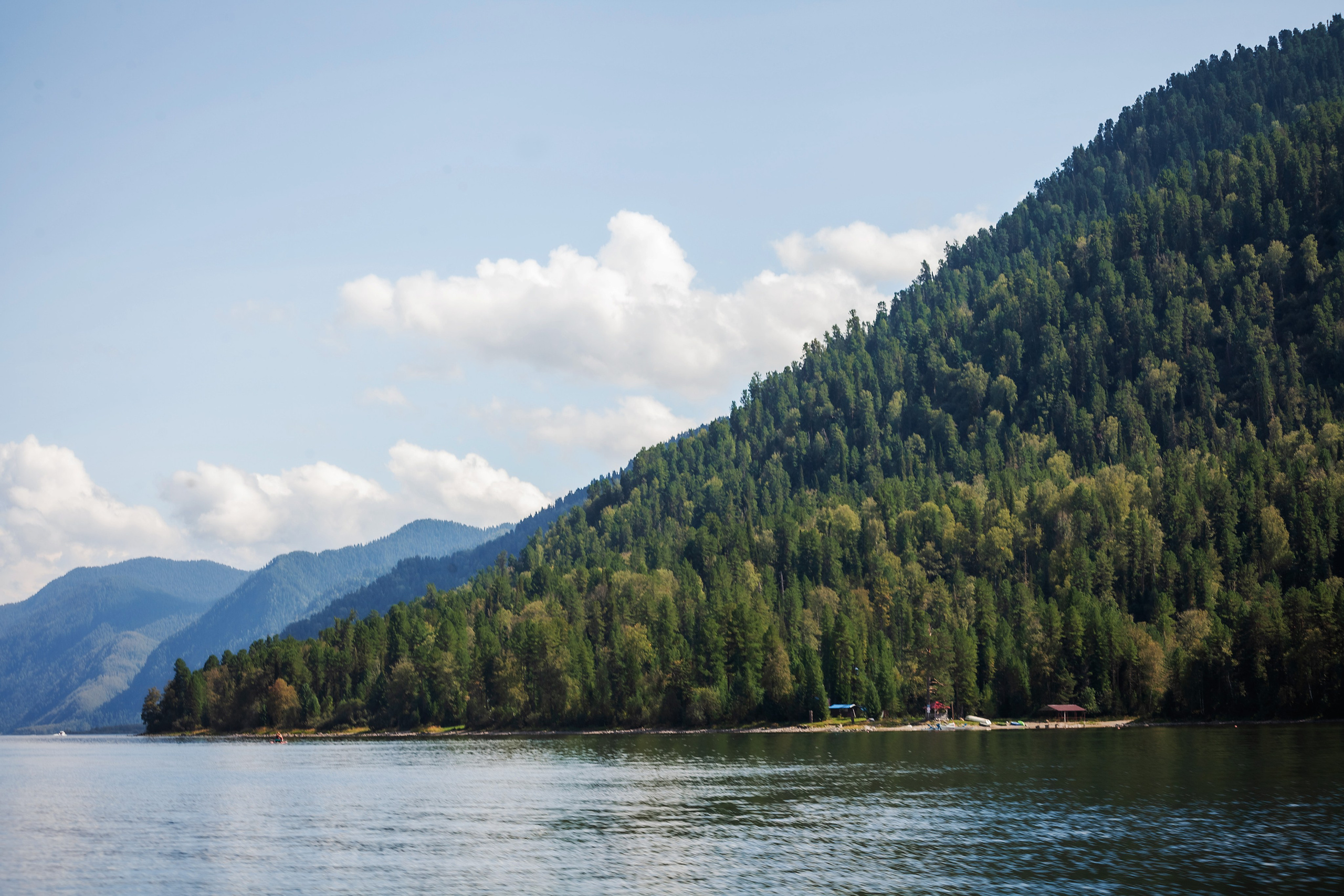 АЛТАЙ 2024 / ALTAI 2024. Главная