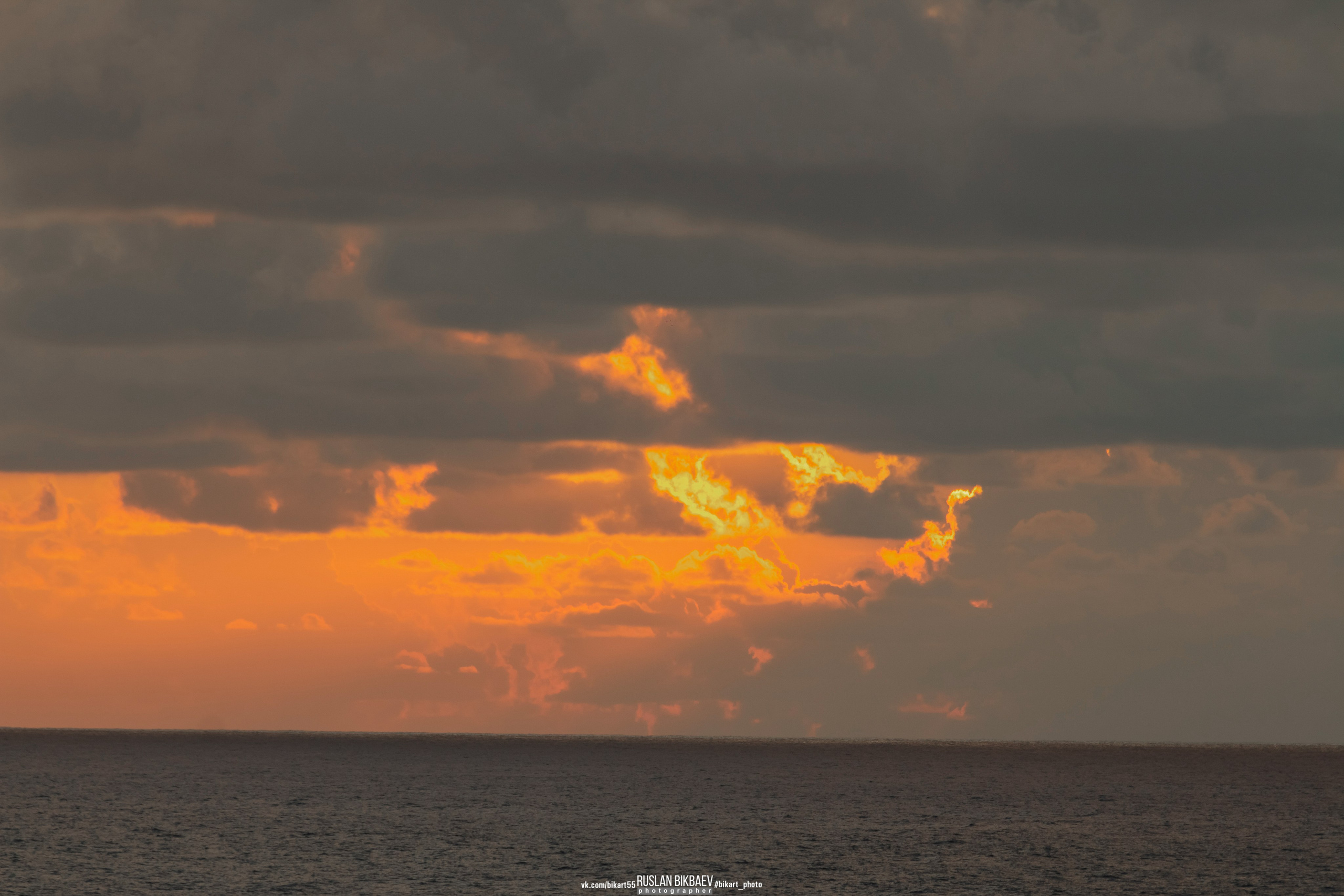 ШРИ-ЛАНКА 2025 / SRI LANKA 2025. Главная