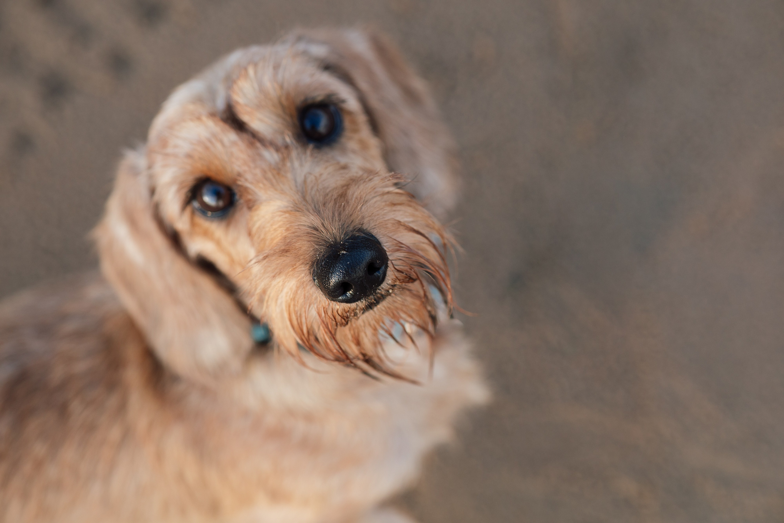 Вика. Залив. Лето. Ваш фотограф в Санкт-Петербурге