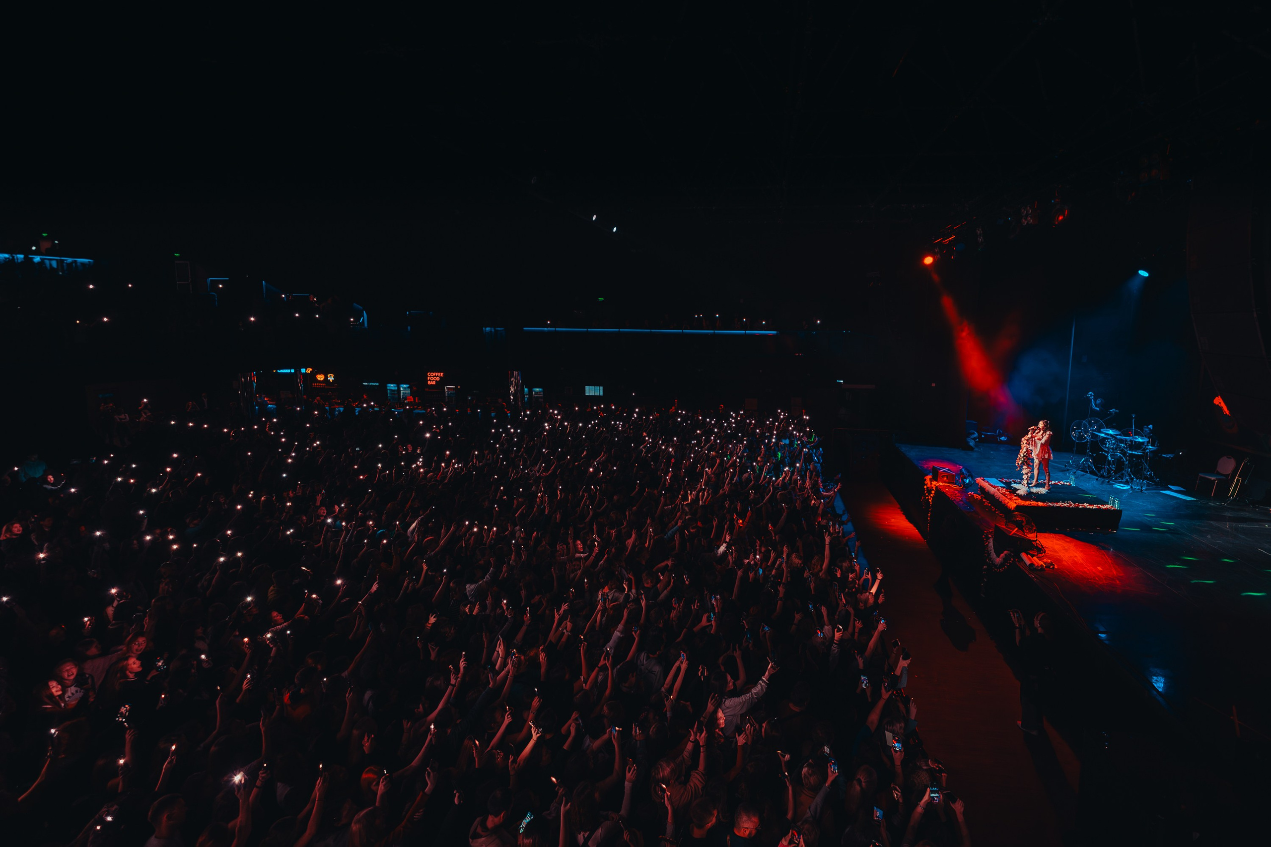 Алена Швец. Магия музыки в кадре: Концертная Фотография