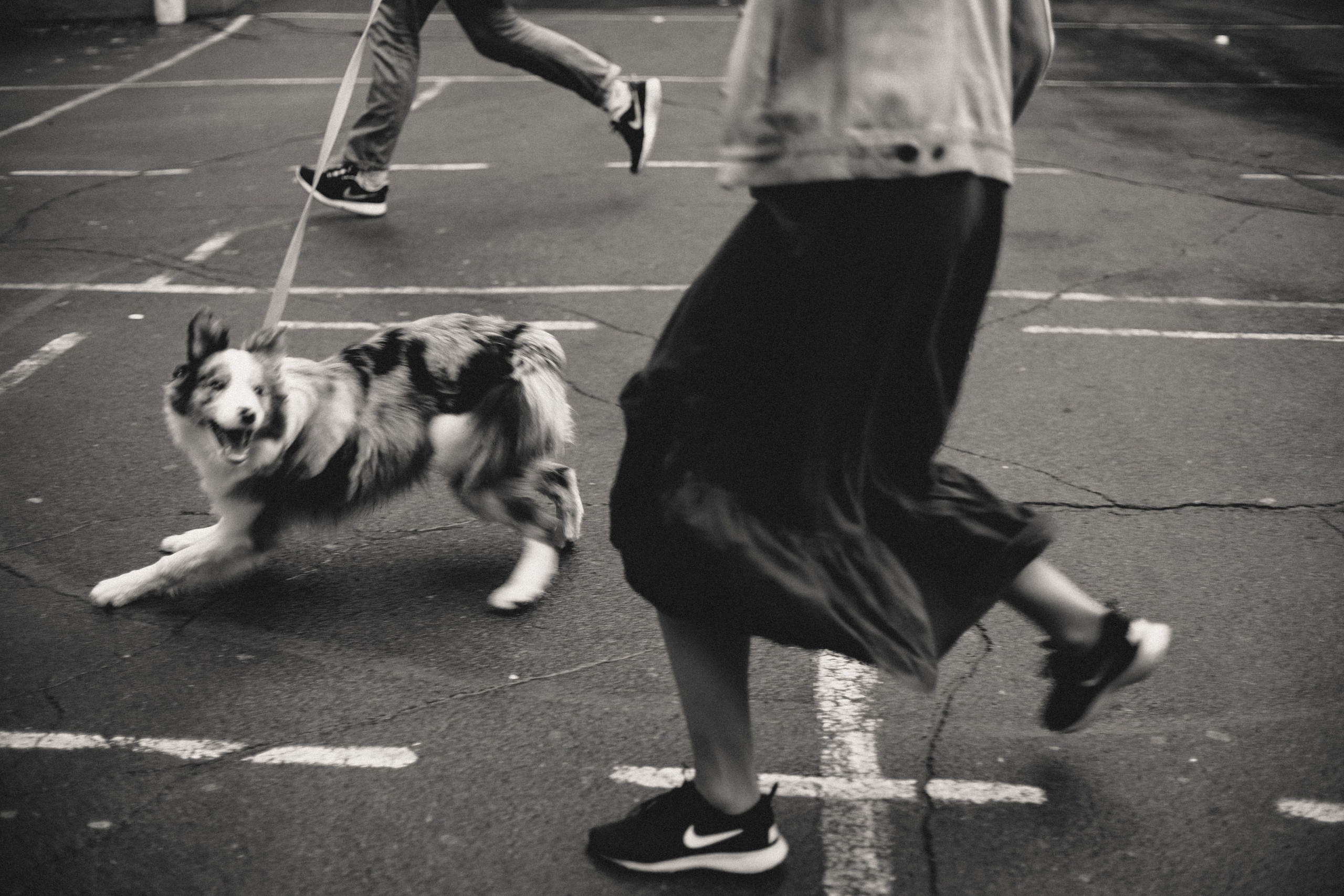 Бесконечно любить тебя. Свадебный и семейный фотограф во Владивостоке Овчинникова Дарья
