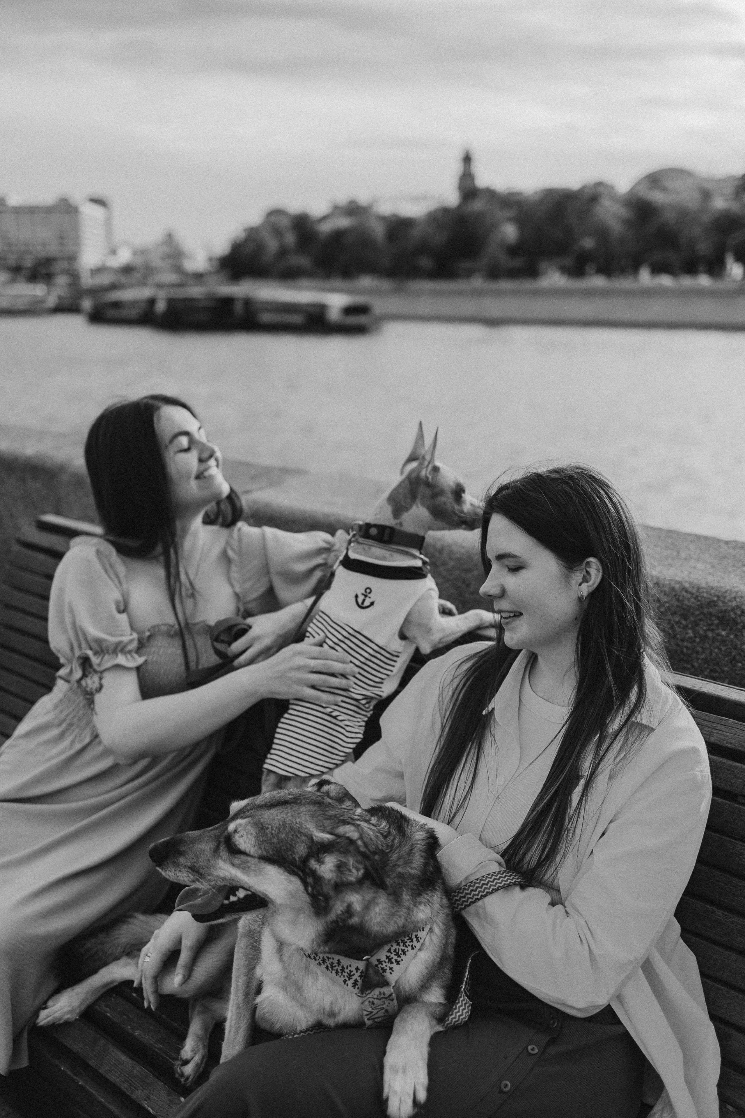 Глаша, Айрон, Ксюша и Оля. Фотограф анималист Анастасия Пикей