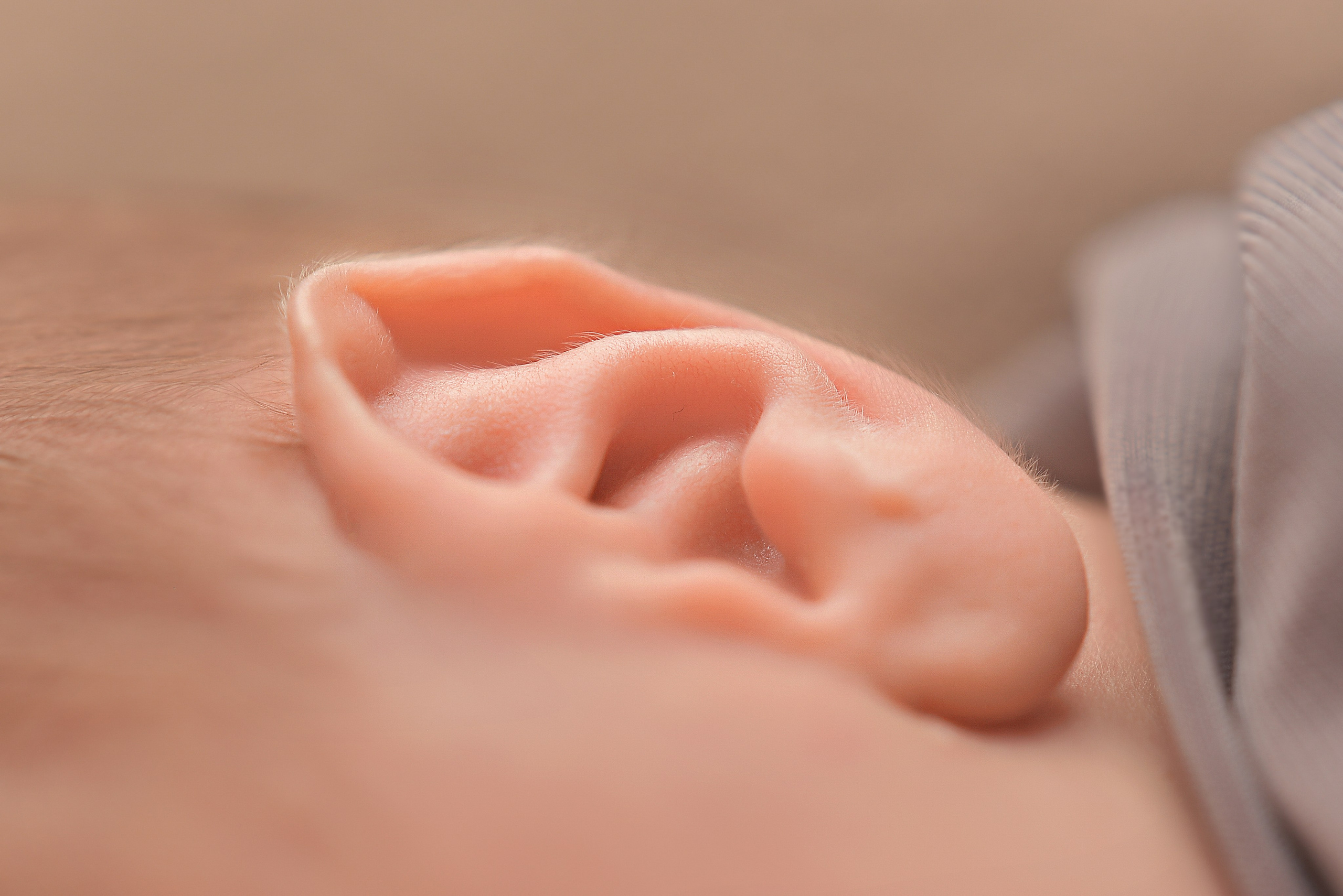 Макро кадры. Елена Комиссарова-фотограф новорожденных в г. Иваново