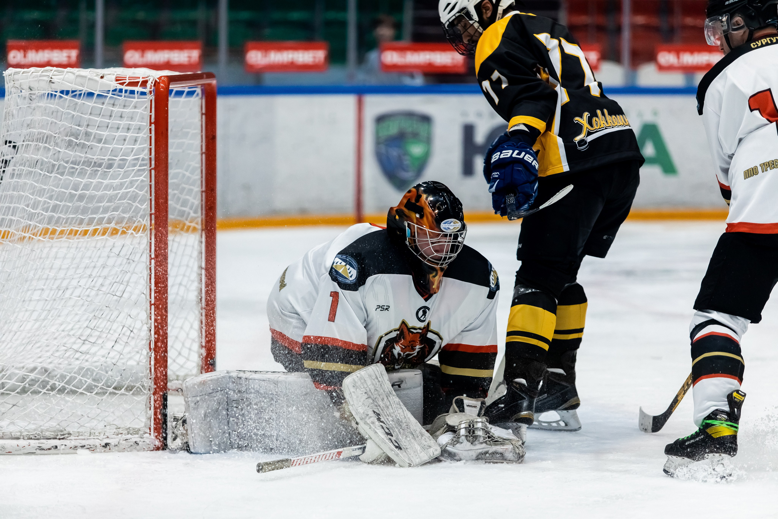 Хоккей. Фотограф Тимербаева Алина г. Сургут