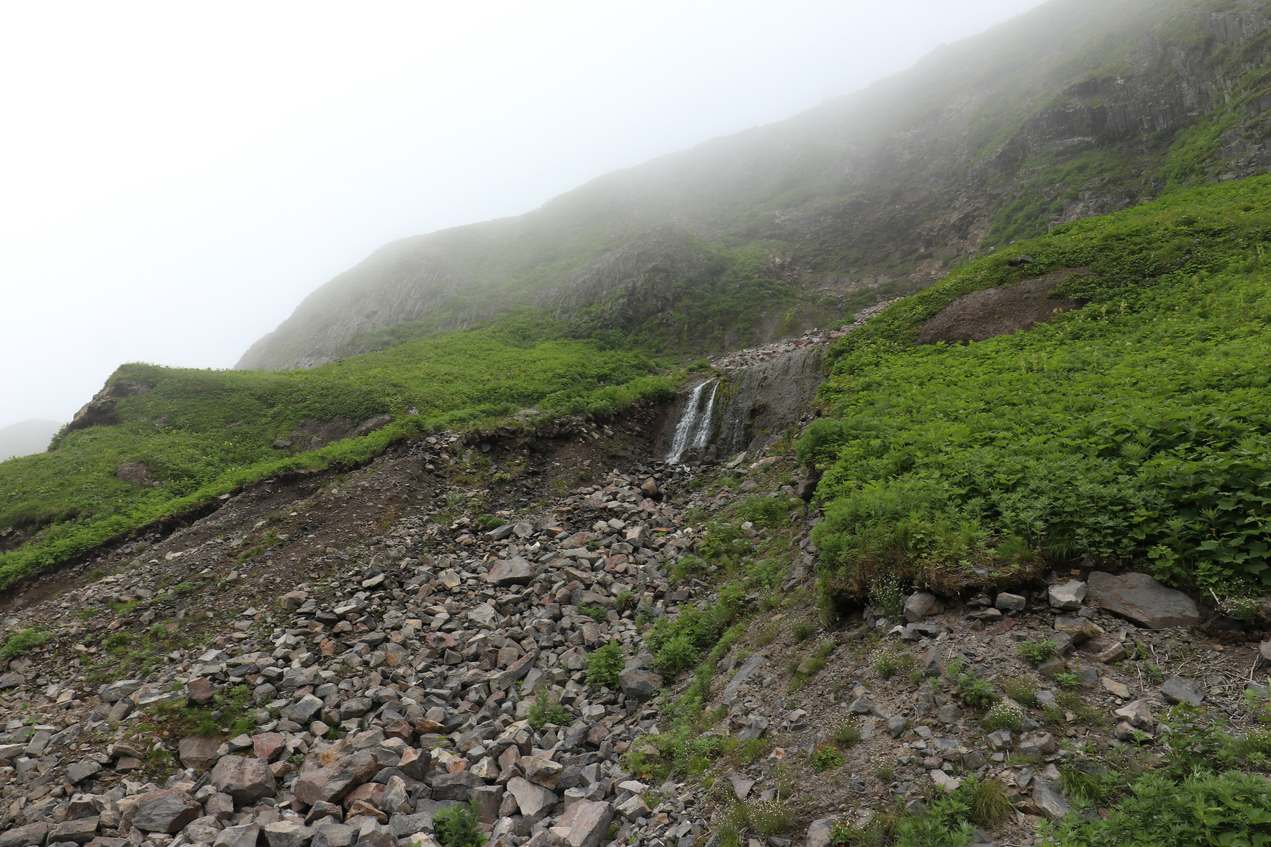 Камчатка и о. Парамушир. Июль 2024. Путешественник-фотограф из Санкт-Петербурга Татьяна Свистулина