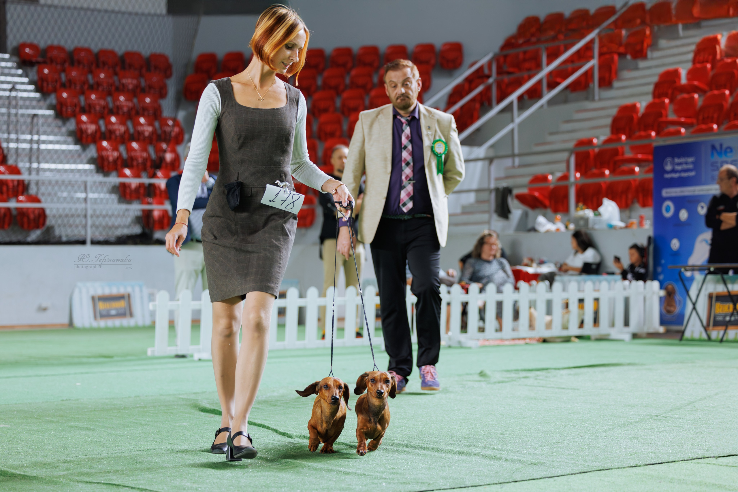 Телави 11-12.10.2025. Фотограф-анималист Юлия Германика