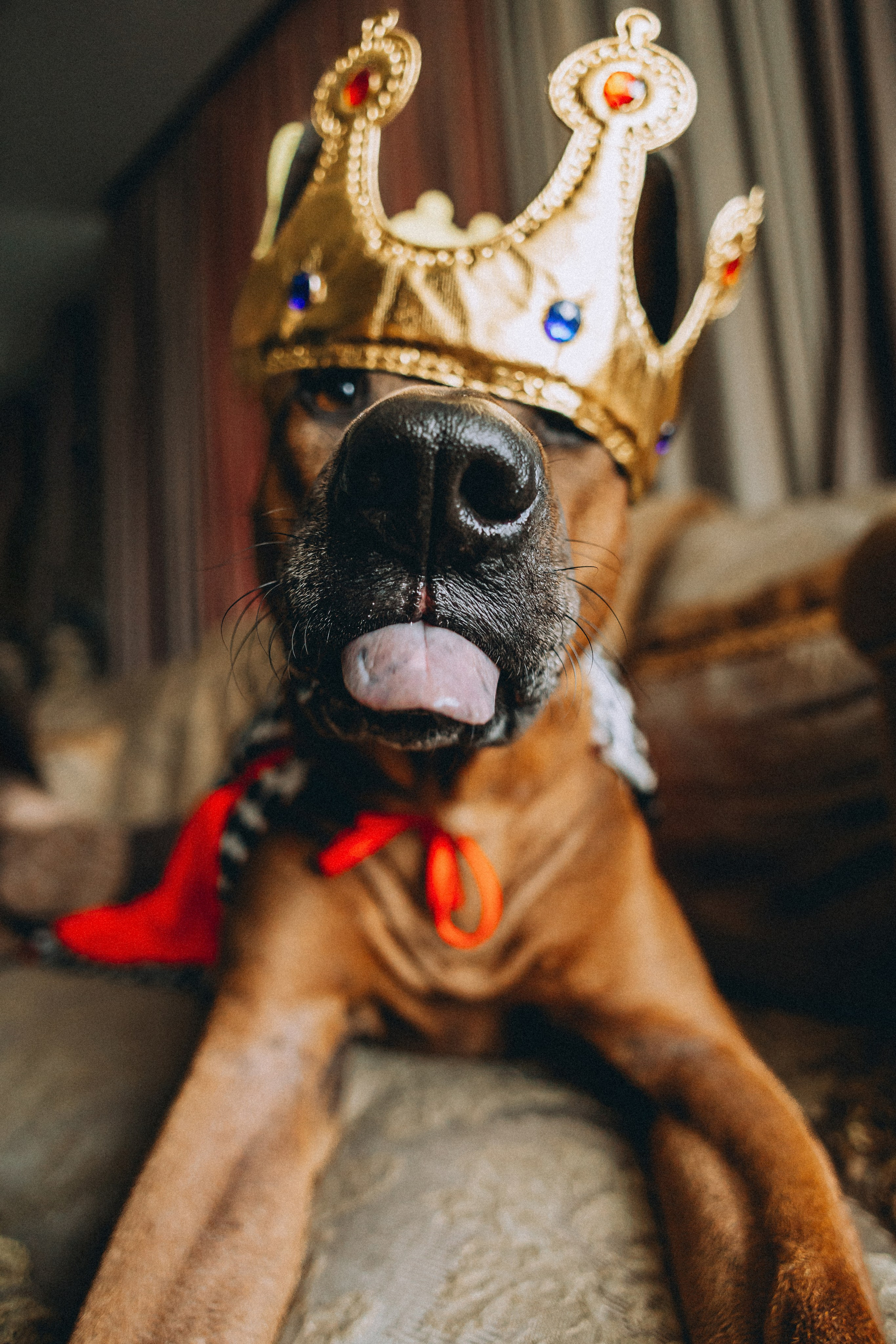 Оксана и Зевс