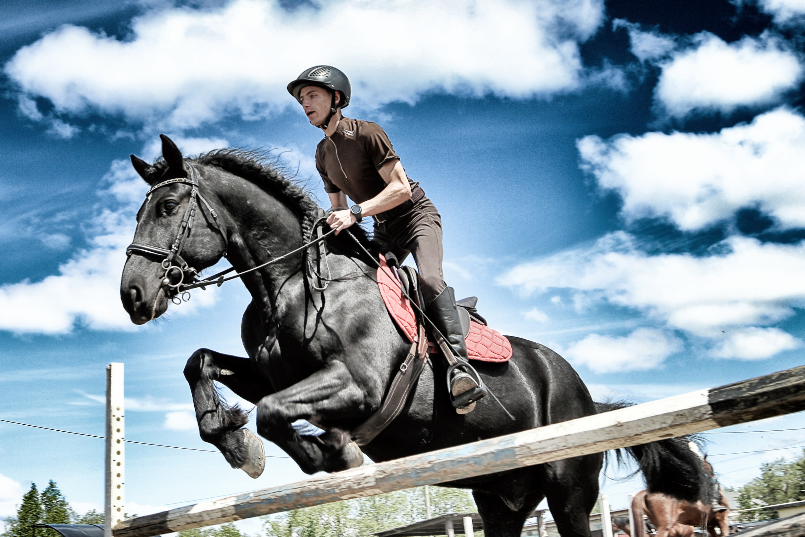 Лошади «Каскад» и «Брилиант». Алиса Томшина — Фотограф / Видеограф