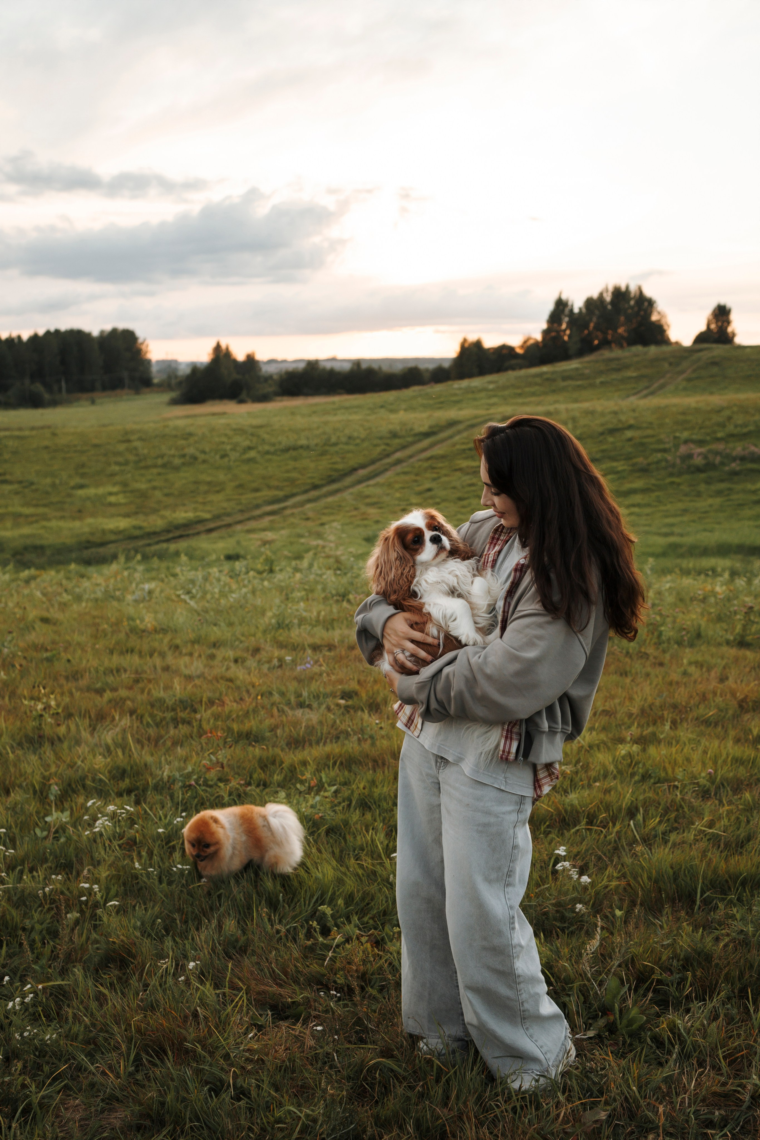 На закате Катерина, Луна и Рикки. Фотограф-анималист в Санкт-Петеребурге Титова Алиса
