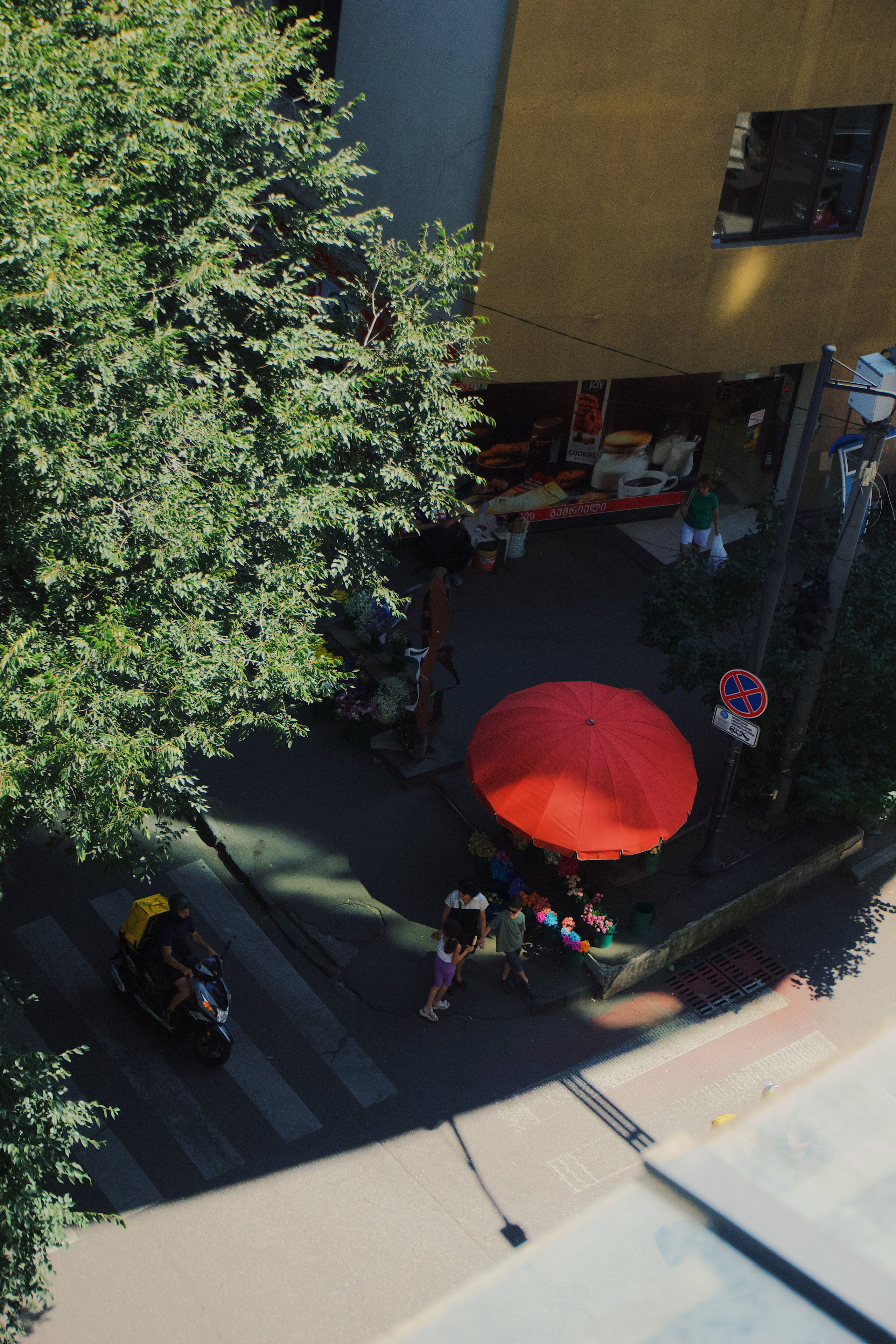 Тбилиси. Татьян гертье