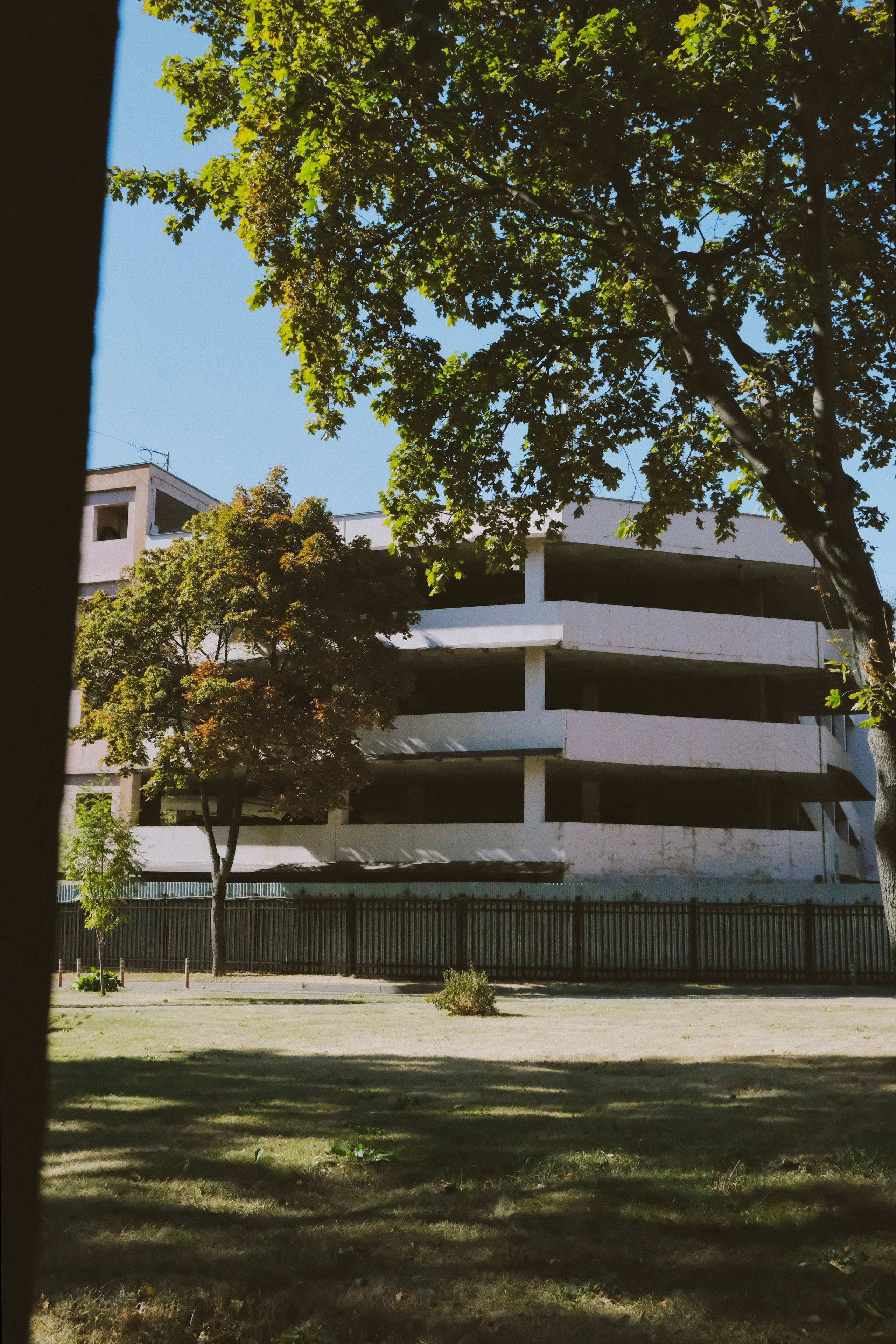 Москва. Татьян гертье