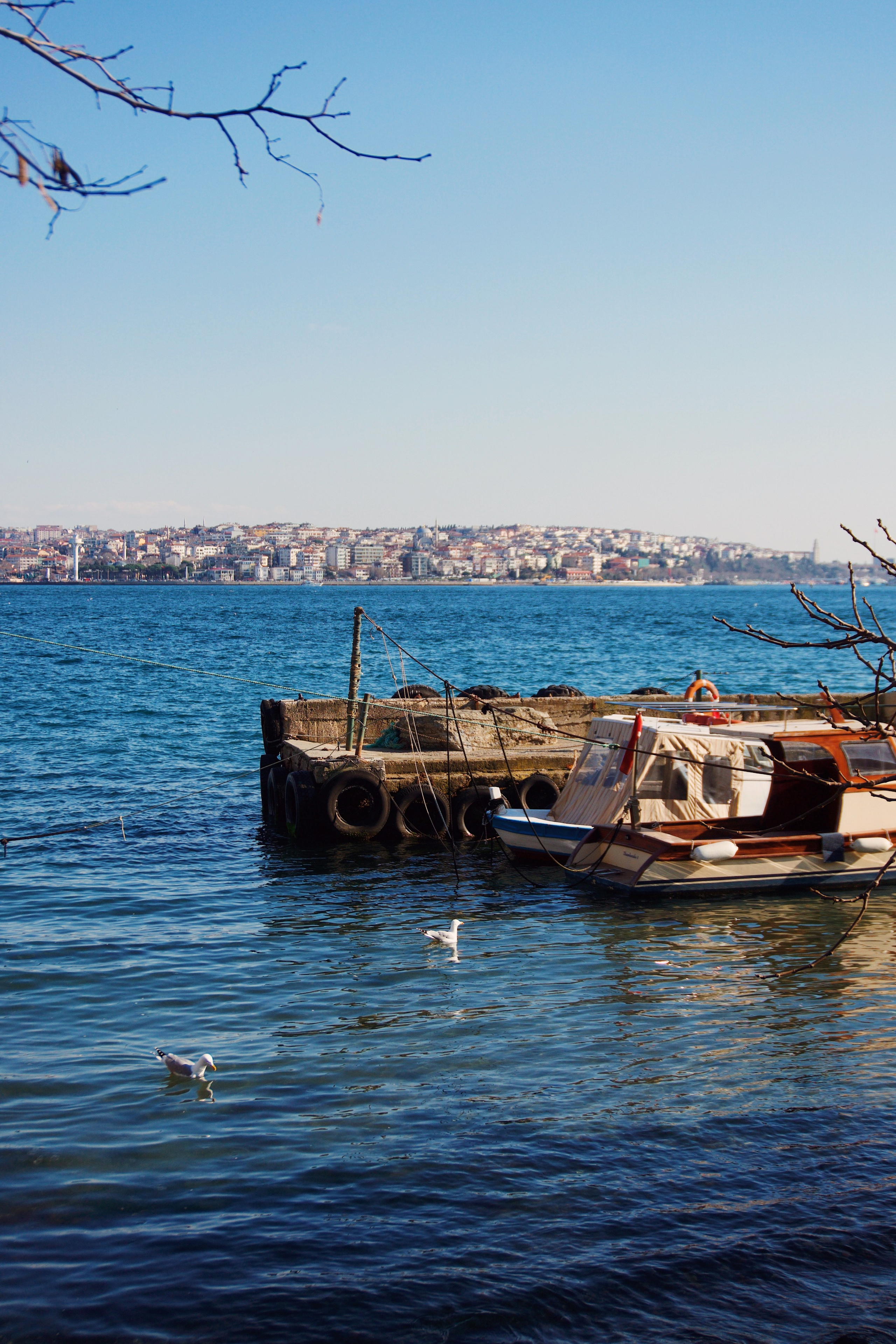 Стамбул. Татьян гертье