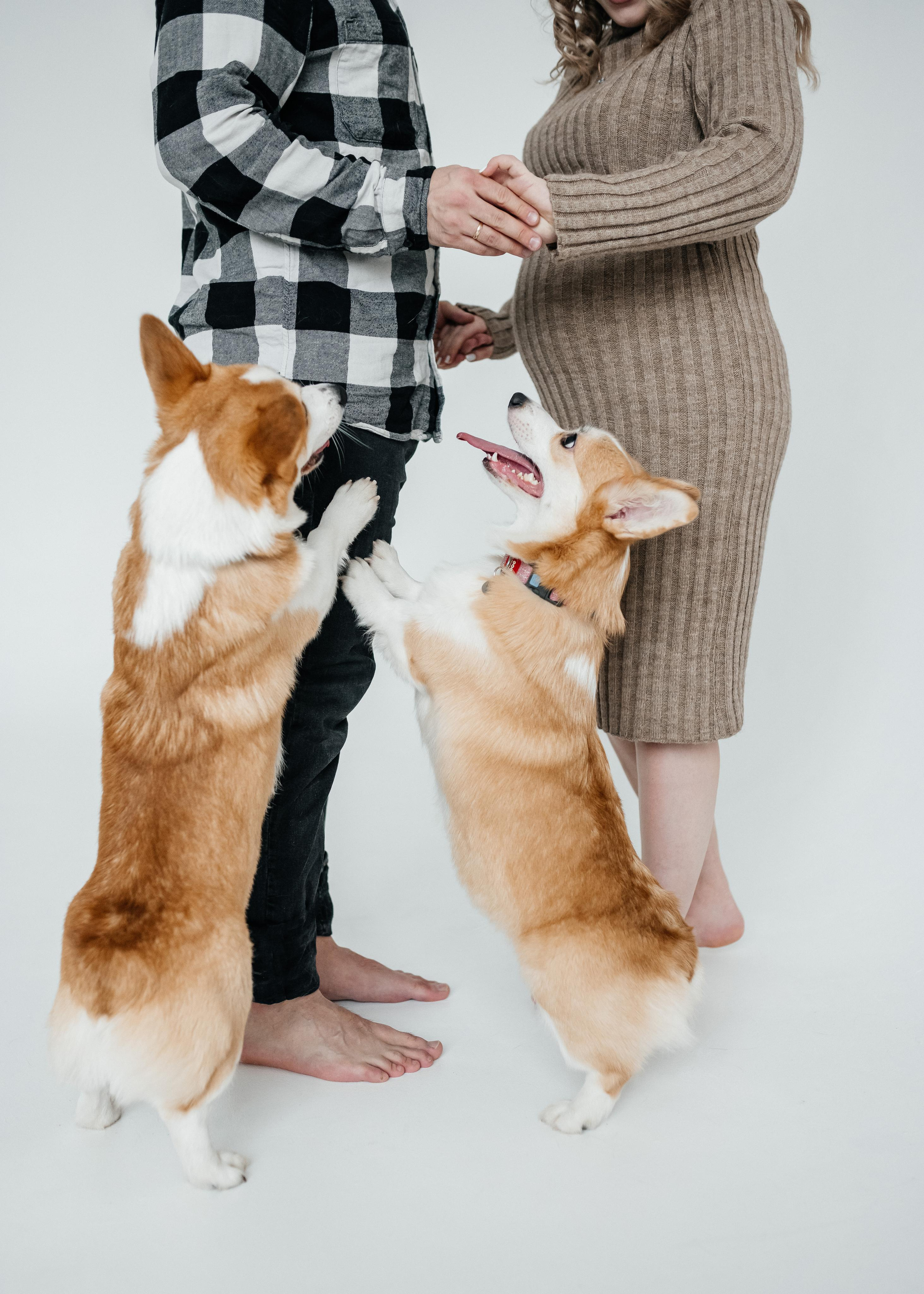 Счастливые моменты. Свадебный, семейный и детский фотограф в Москве и области