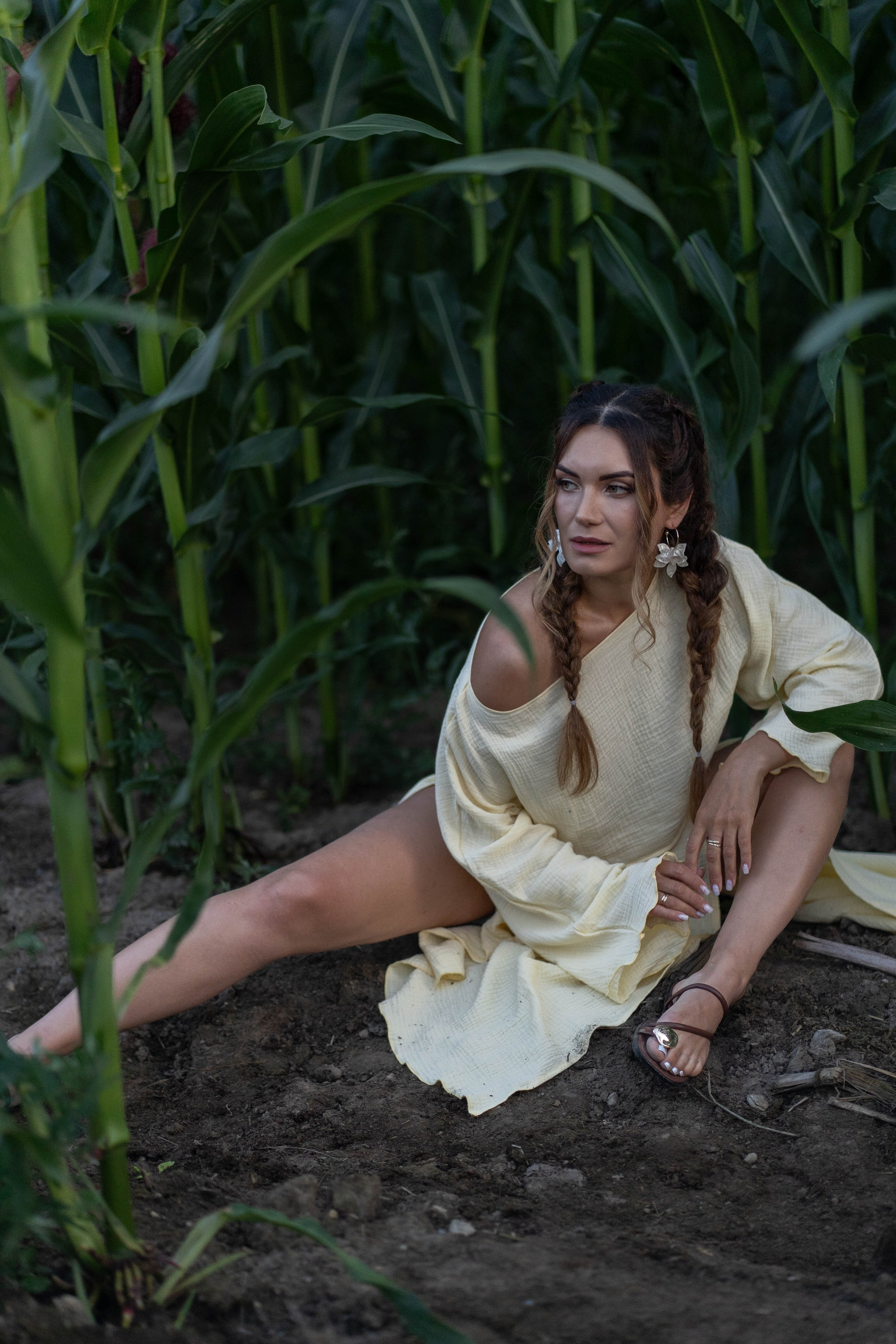 Кукурузное поле. Главная