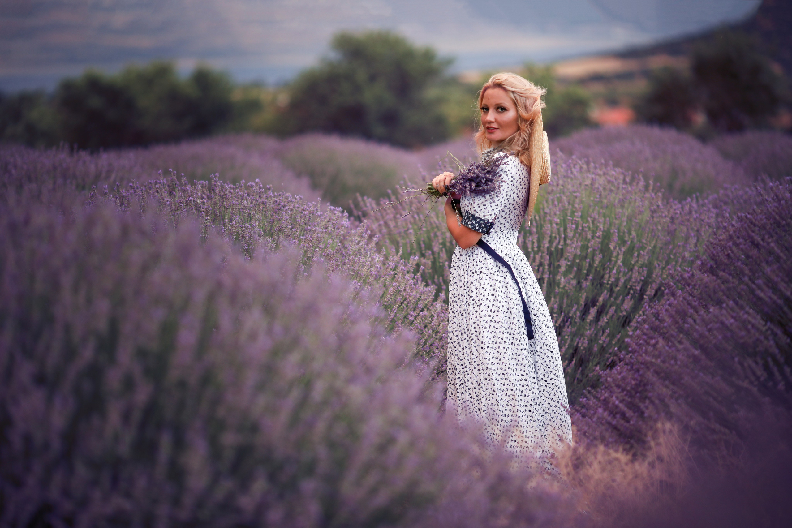 Lavender fields in Turkey