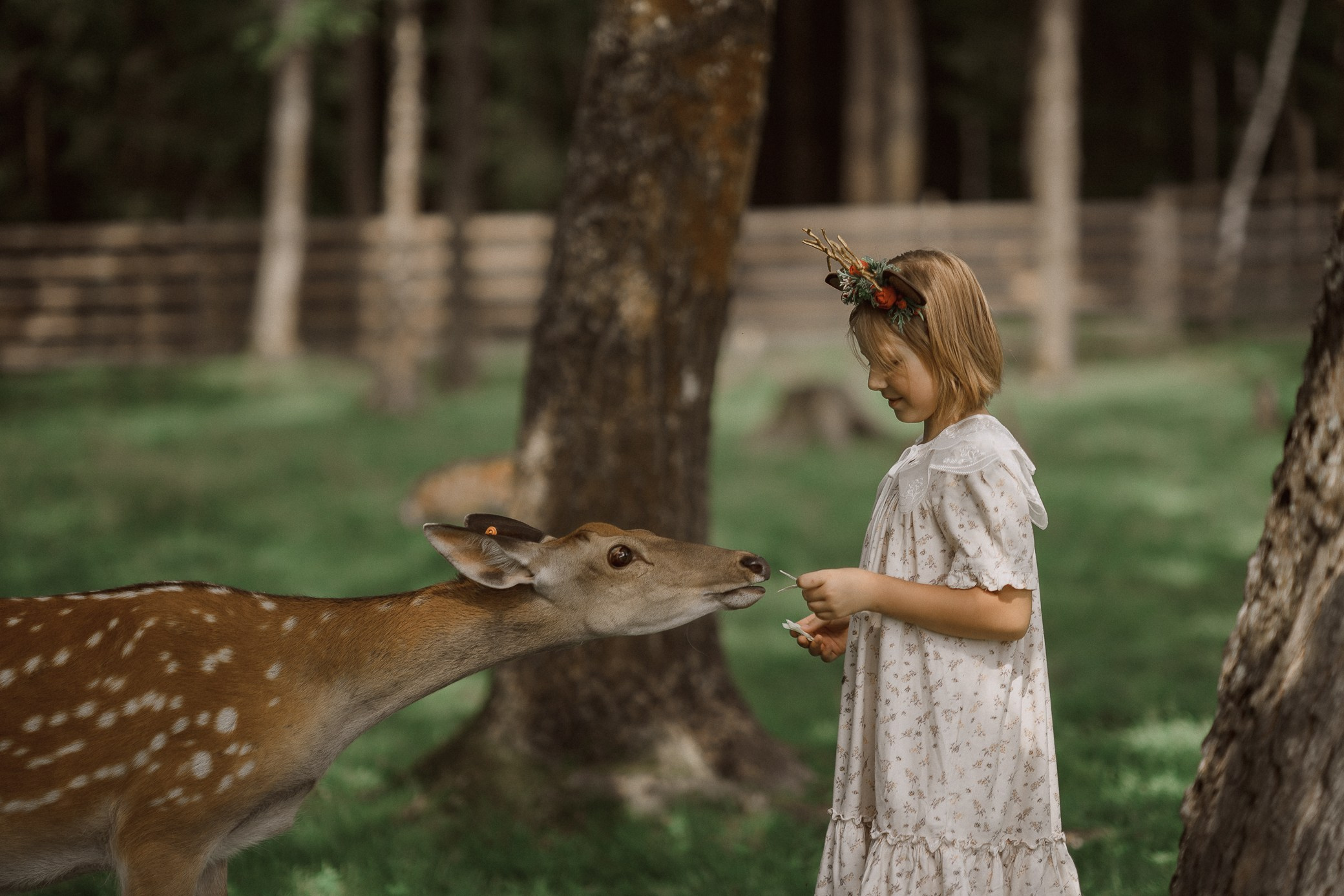Фотосессия с оленями. Семейный и детский фотограф в Сергиев Посаде, Хотьково Якимчук Любовь