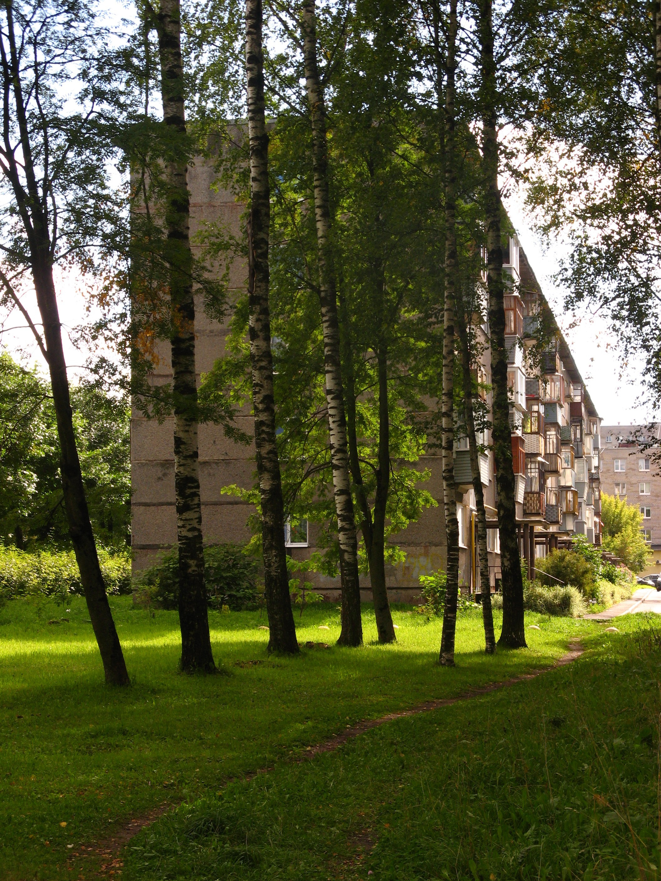 Сентябрь 2025. Den Mirov — Фотограф, Музыкант