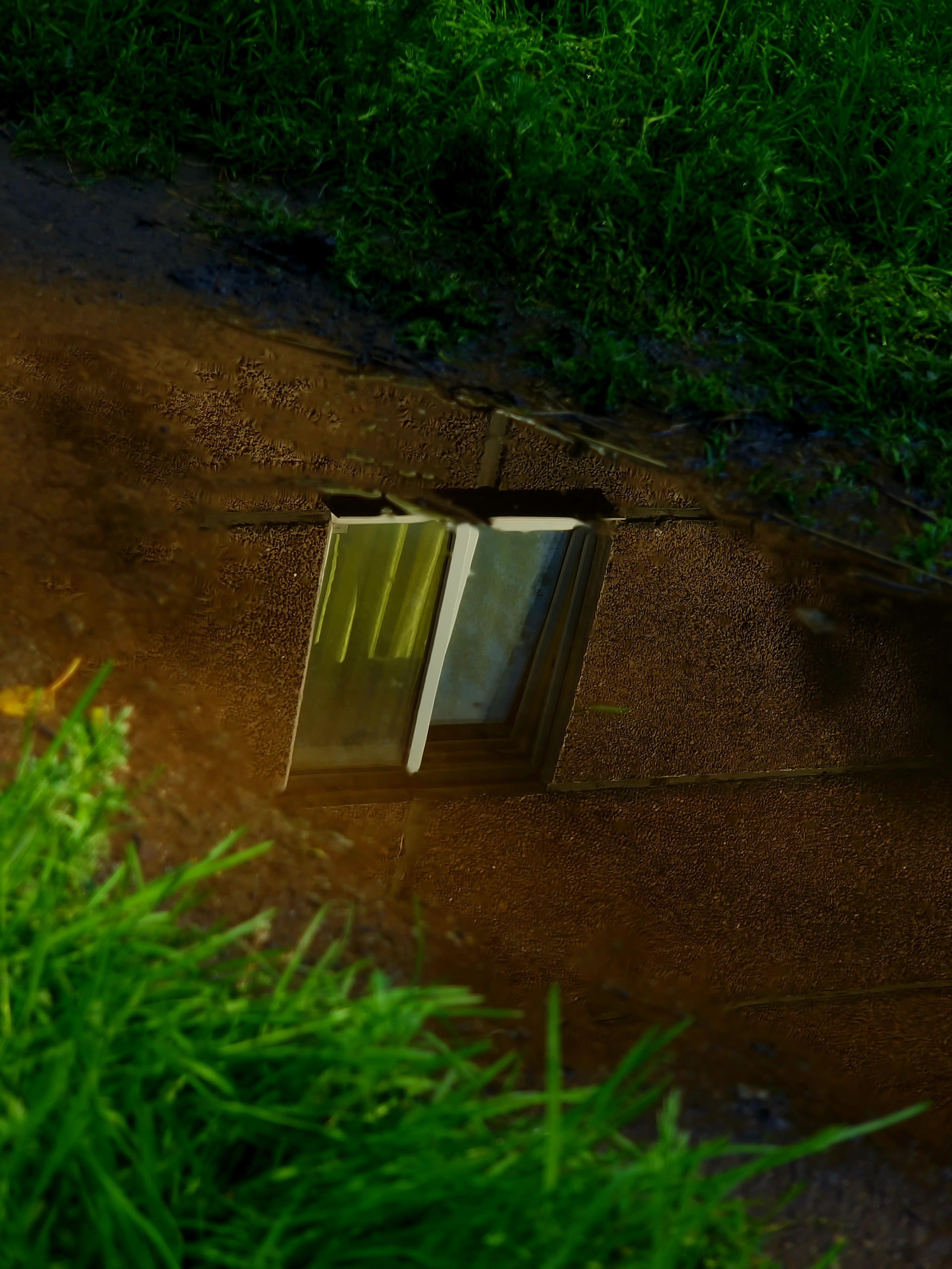 Август 2025. Den Mirov — Фотограф, Музыкант