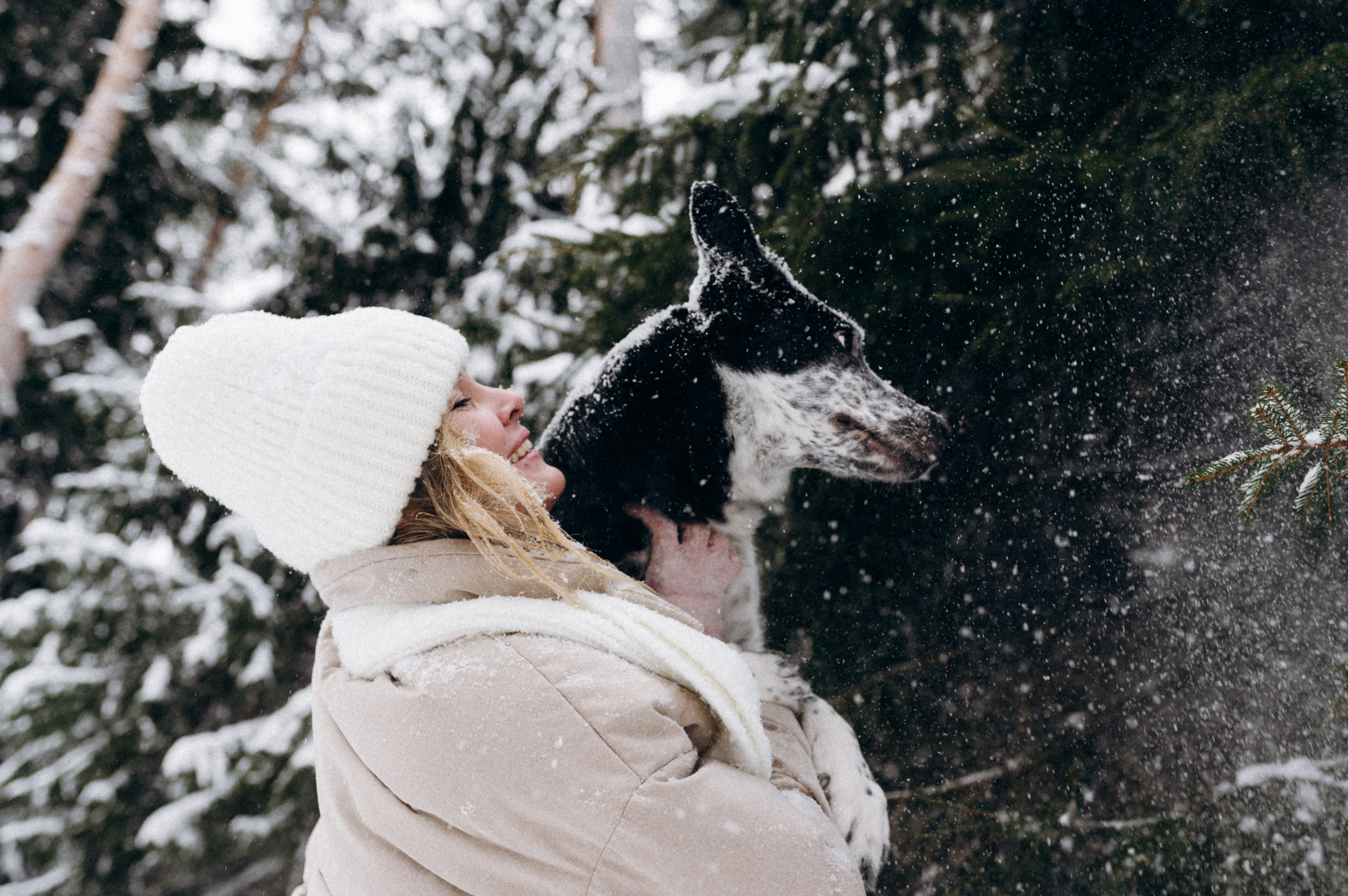 Аня и Милан. Фотограф анималист в Москве Ольга Агушева