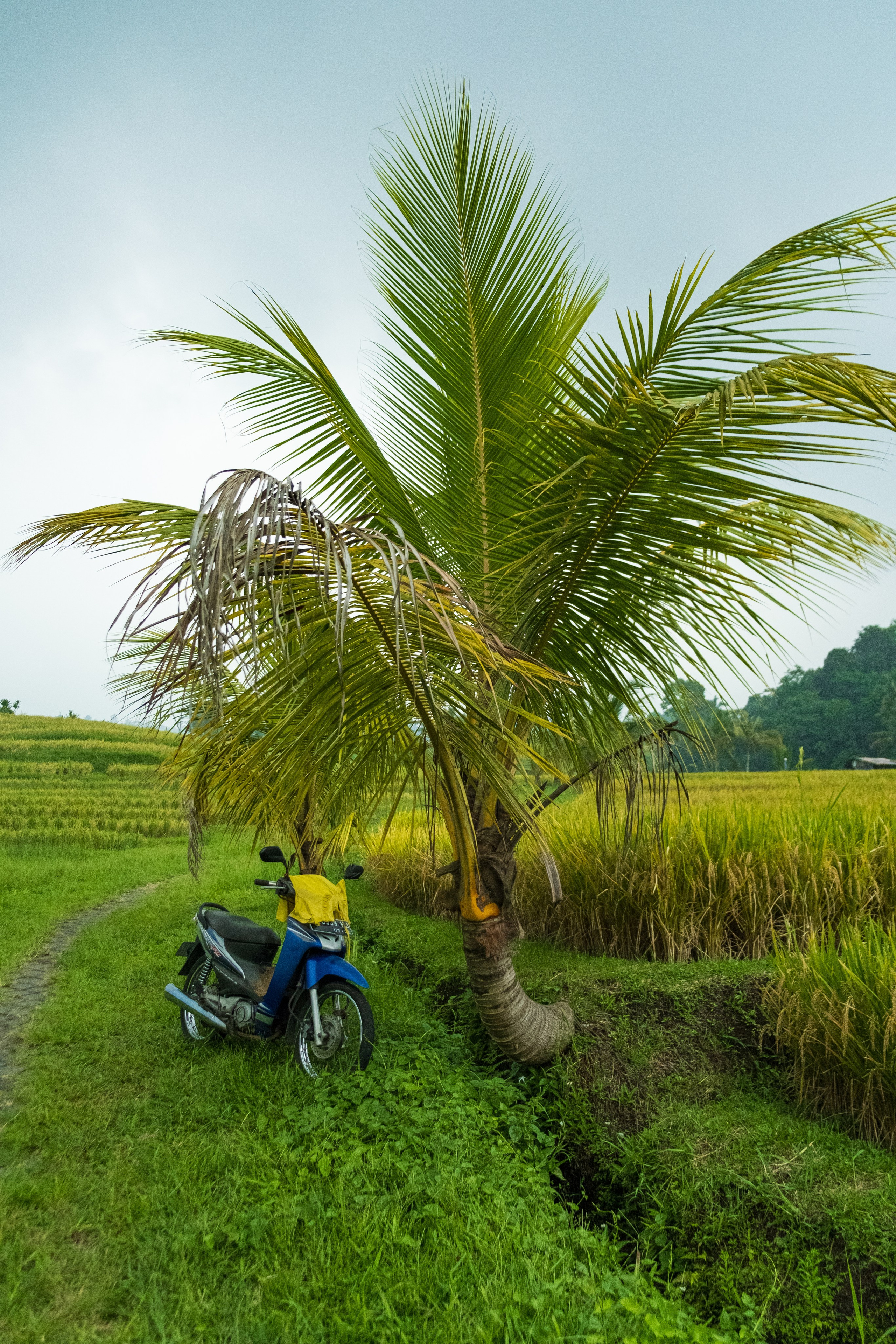 Остров Бали. Фотографии из путешествий