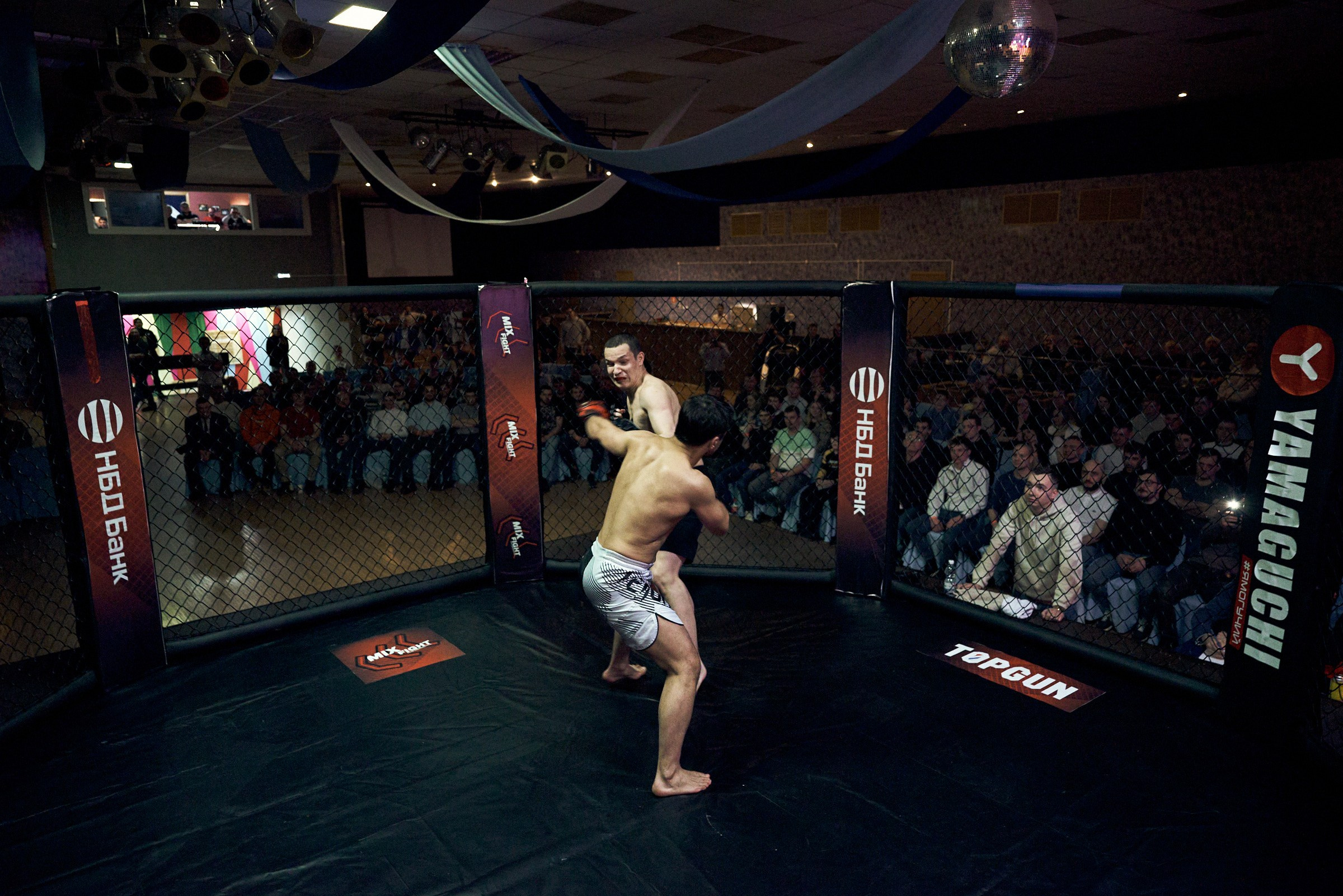 Бои. Маляревич Дмитрий свадебный фотограф