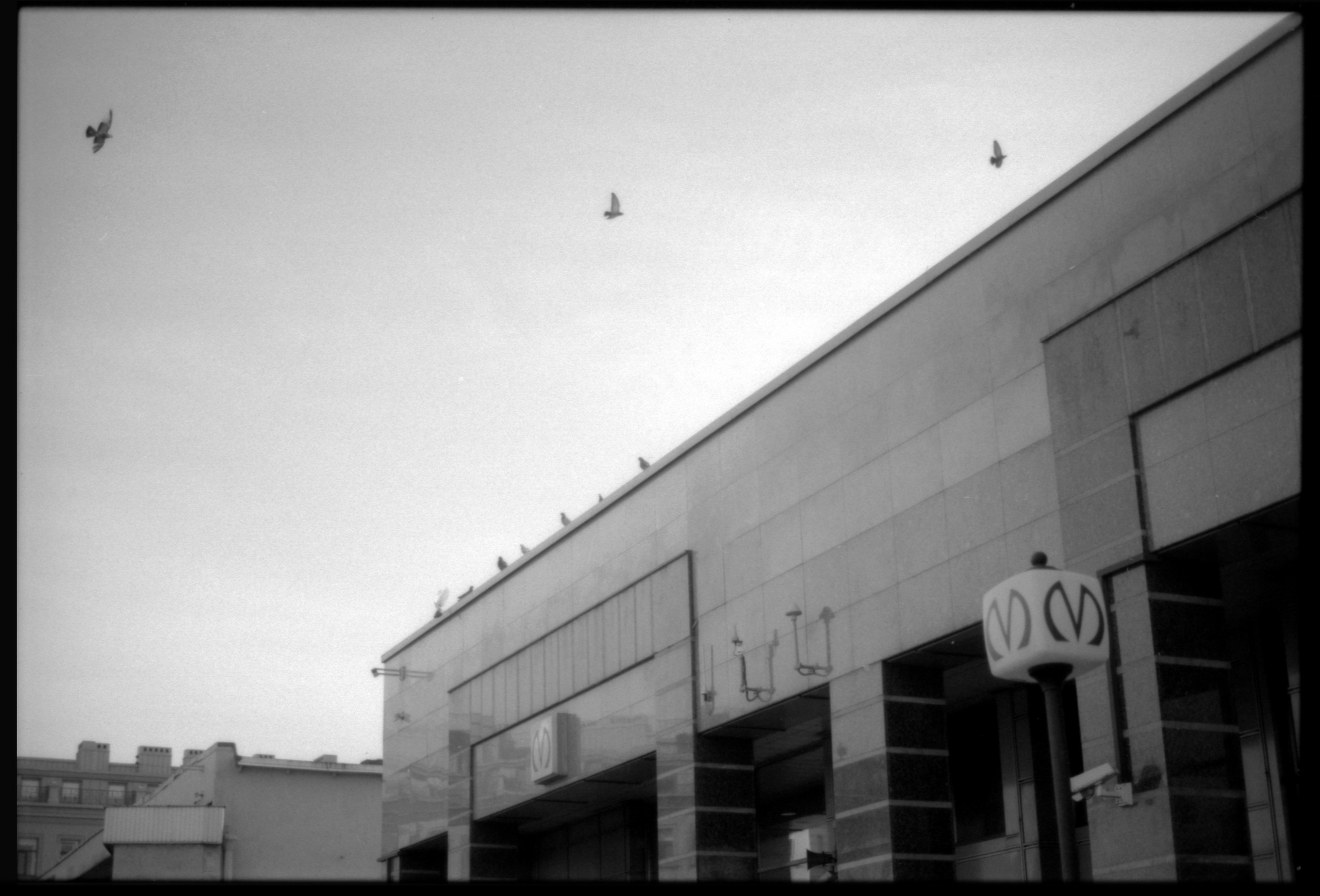 Петербург. Фотограф в Ярославле