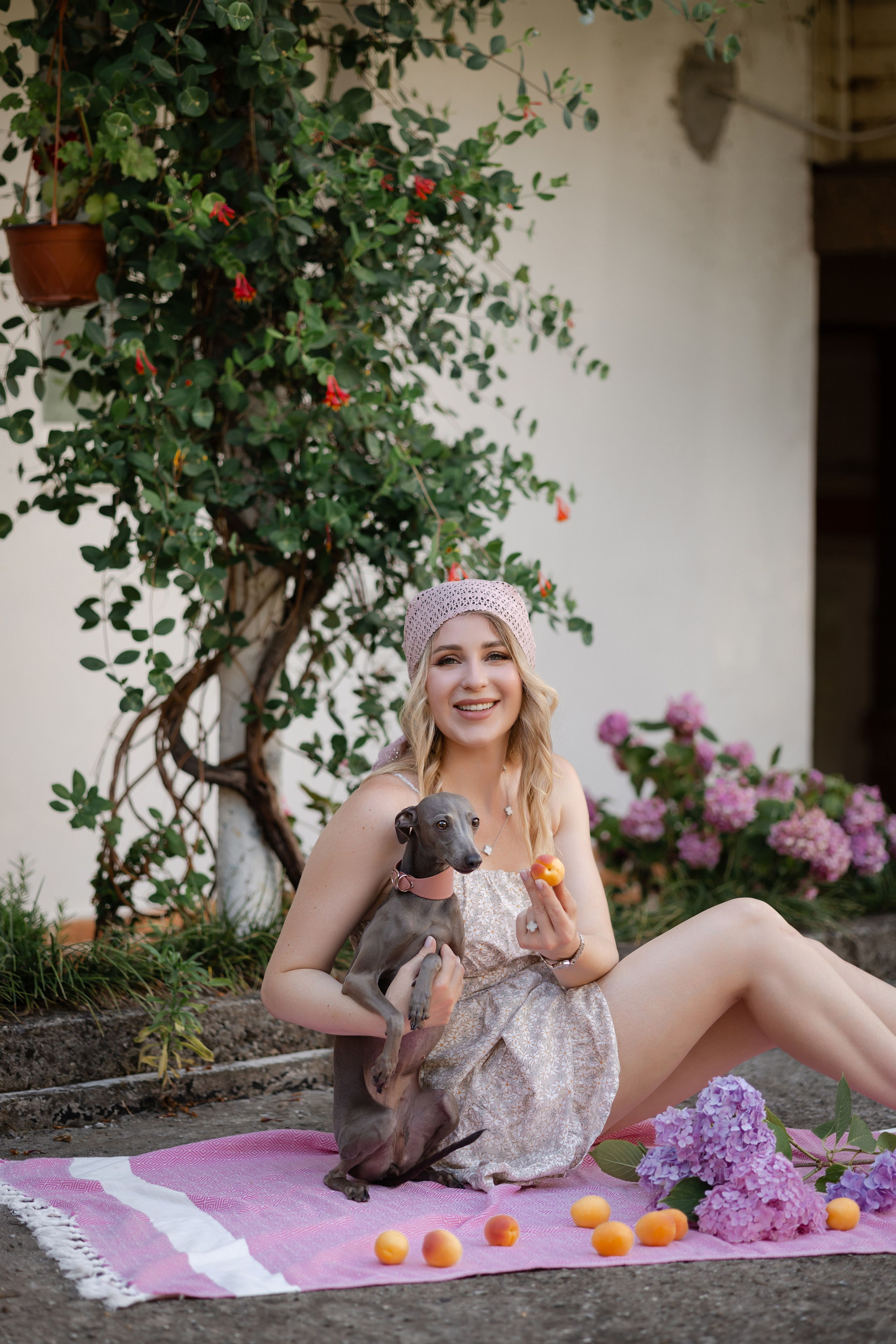 Роза. Профессиональный питомник левреток РКФ/FCI ASTI SAPPHIRE 💎 Сочи|Санкт-Петербург