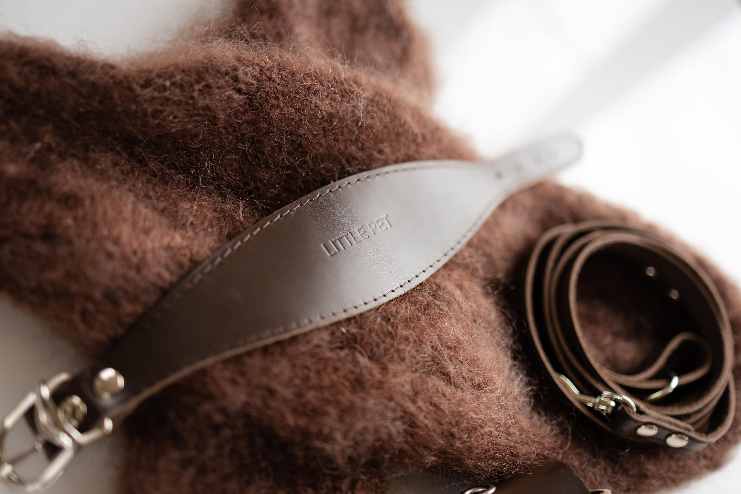 Прогулки. Профессиональный питомник левреток РКФ/FCI ASTI SAPPHIRE 💎 Сочи|Санкт-Петербург