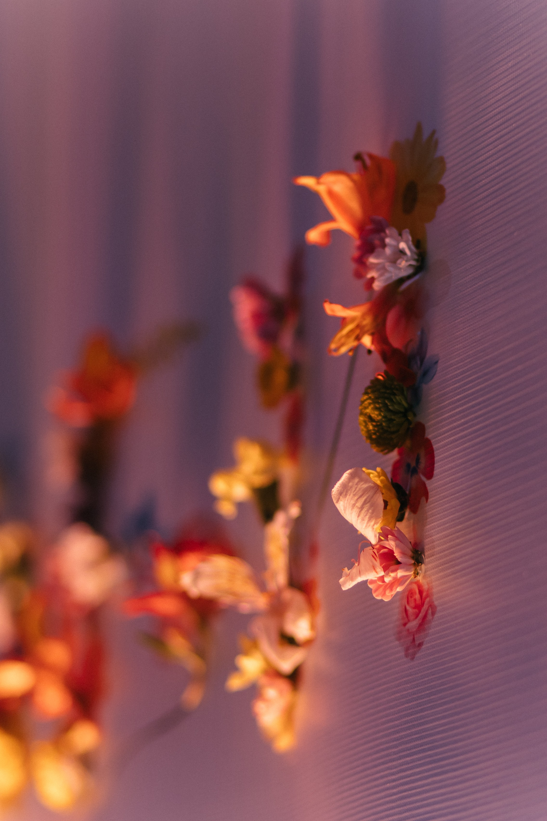 Аня и Паша. Мордвинова Татьяна