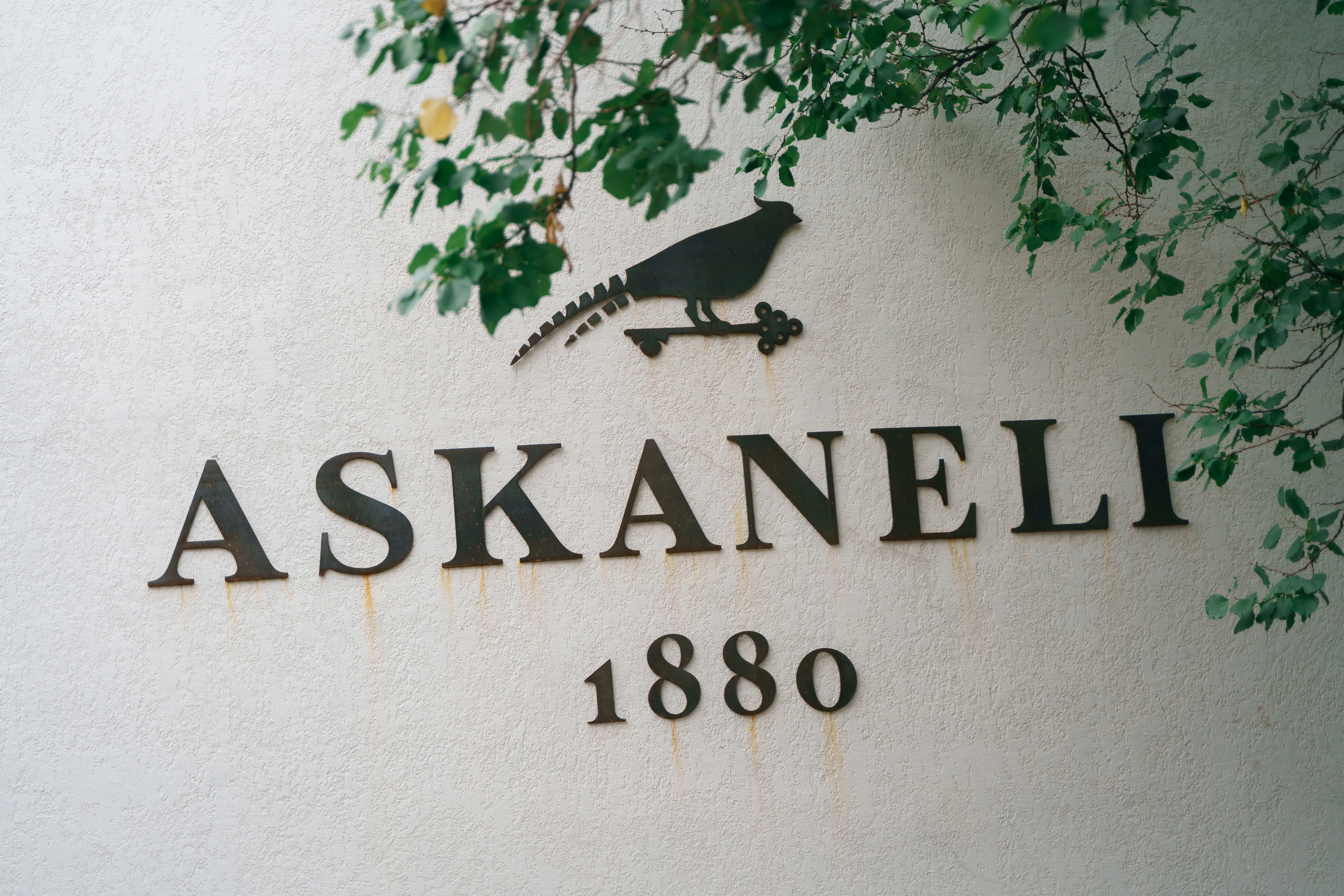 Винные истории. Свадебный фотограф в Санкт-Петербурге Никита Селиверстов