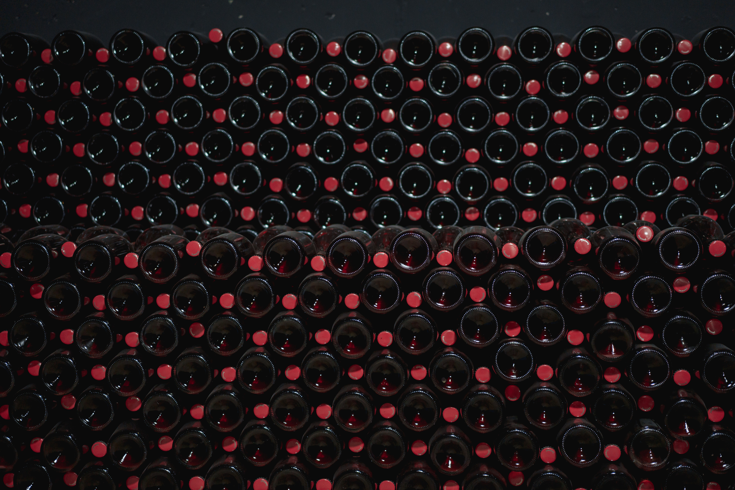 Винные истории. Свадебный фотограф в Санкт-Петербурге Никита Селиверстов