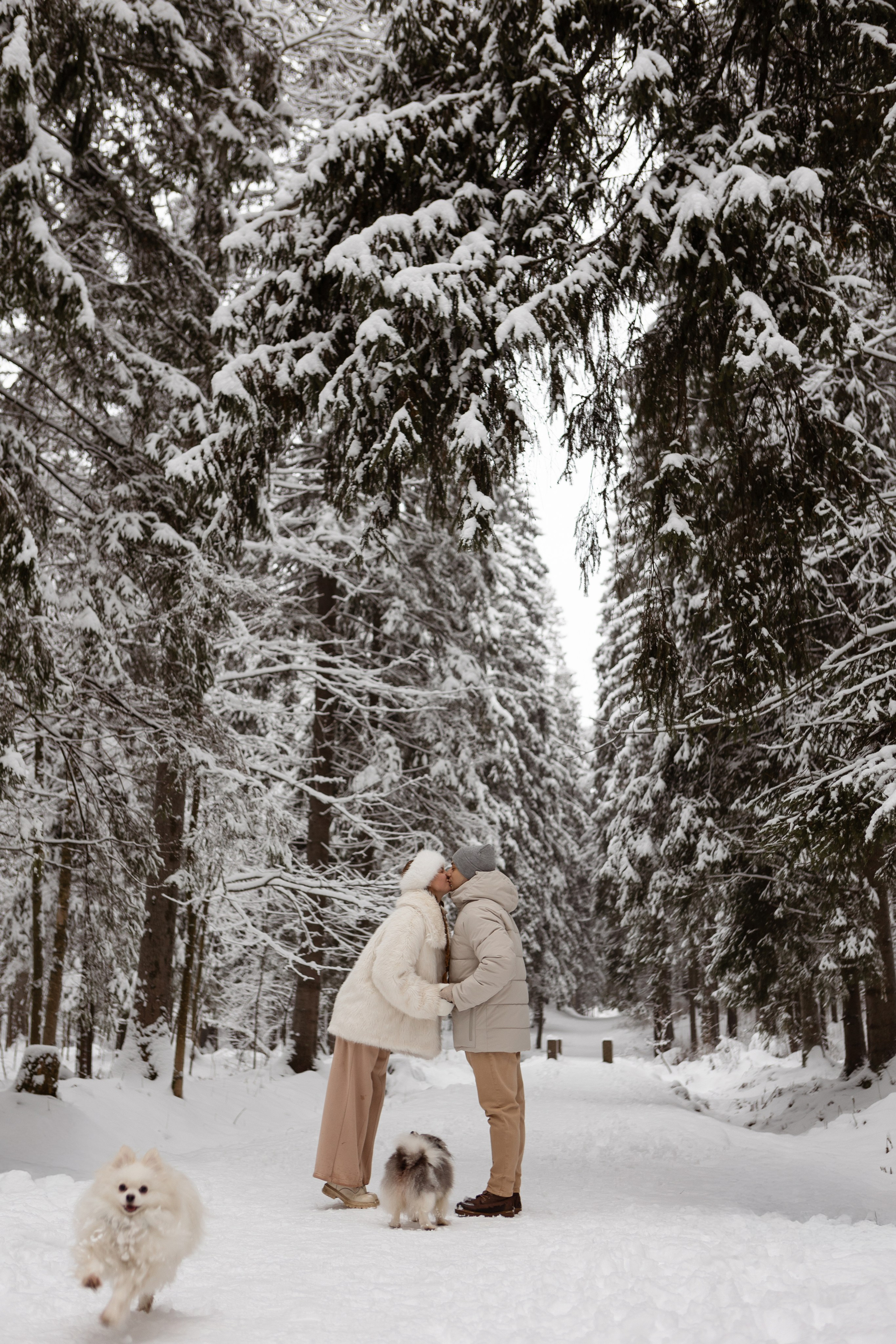 Новогодняя фотосессия с собачками в шуваловском парке. Свадебный фотограф в СПБ | Санкт-Петербурге Анастасия Рахимгулова