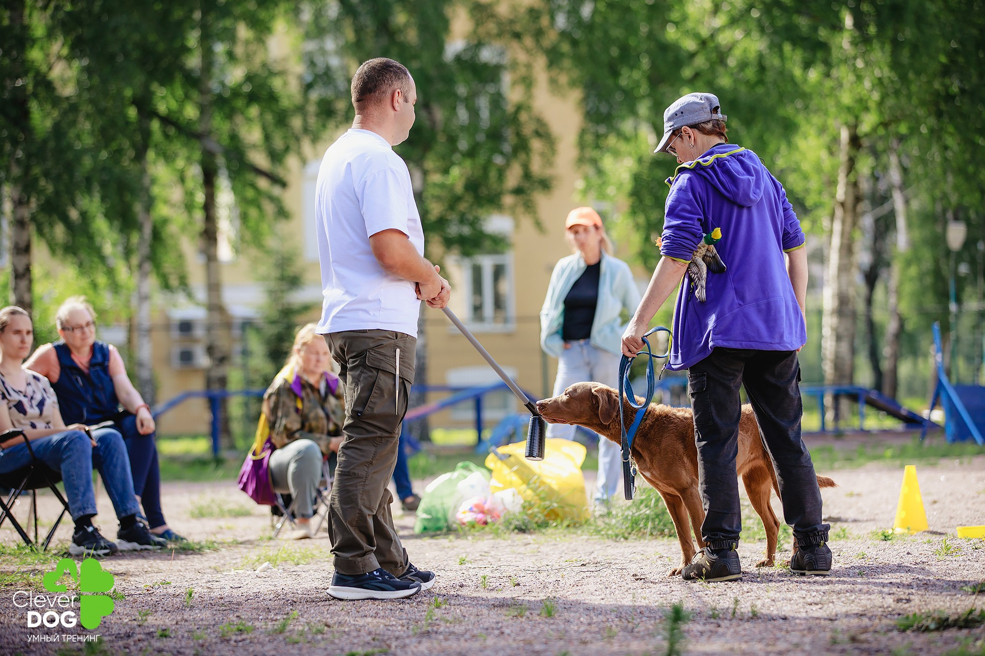 Семинар по поиску запаха с Иваном Ломовым, организатор CleverDog, СПб. Фотограф-анималист Mary Mart — Москва, Питер