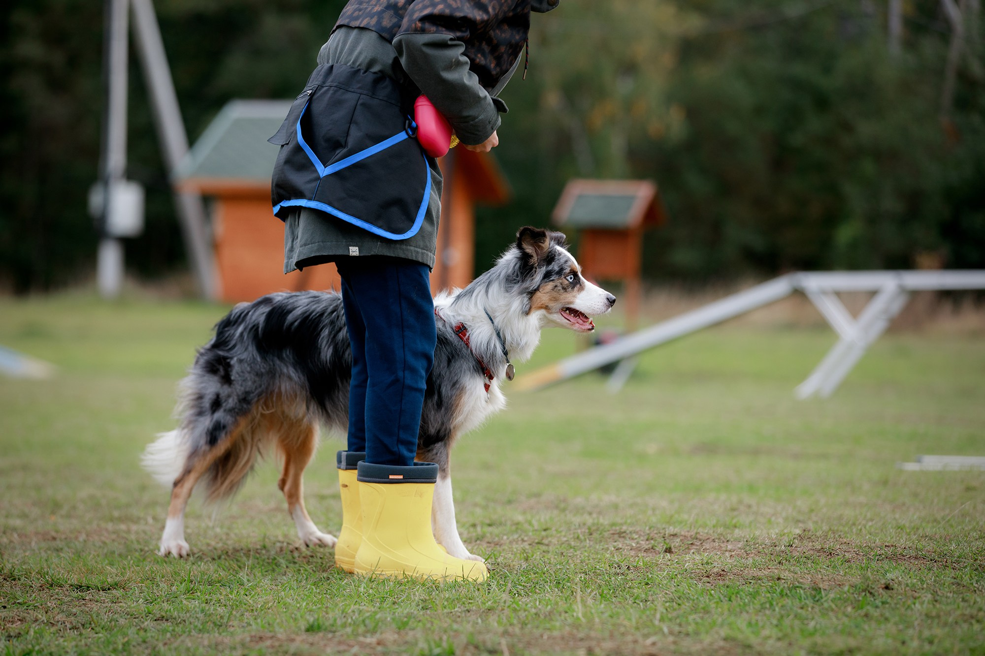 Лагерь по ОБД с Инной Баженовой. Фотограф-анималист Mary Mart — Москва, Питер